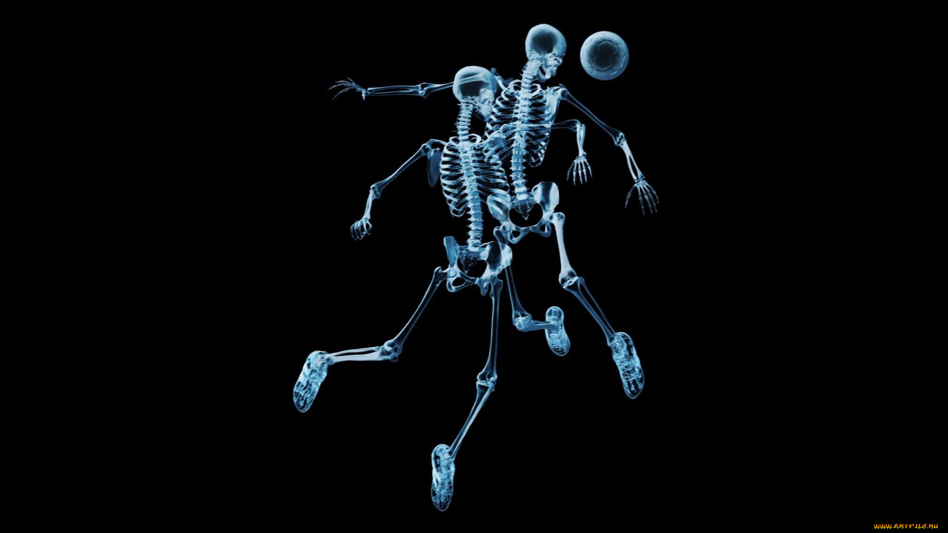 разное, кости, рентген, мяч, футбол, скелеты