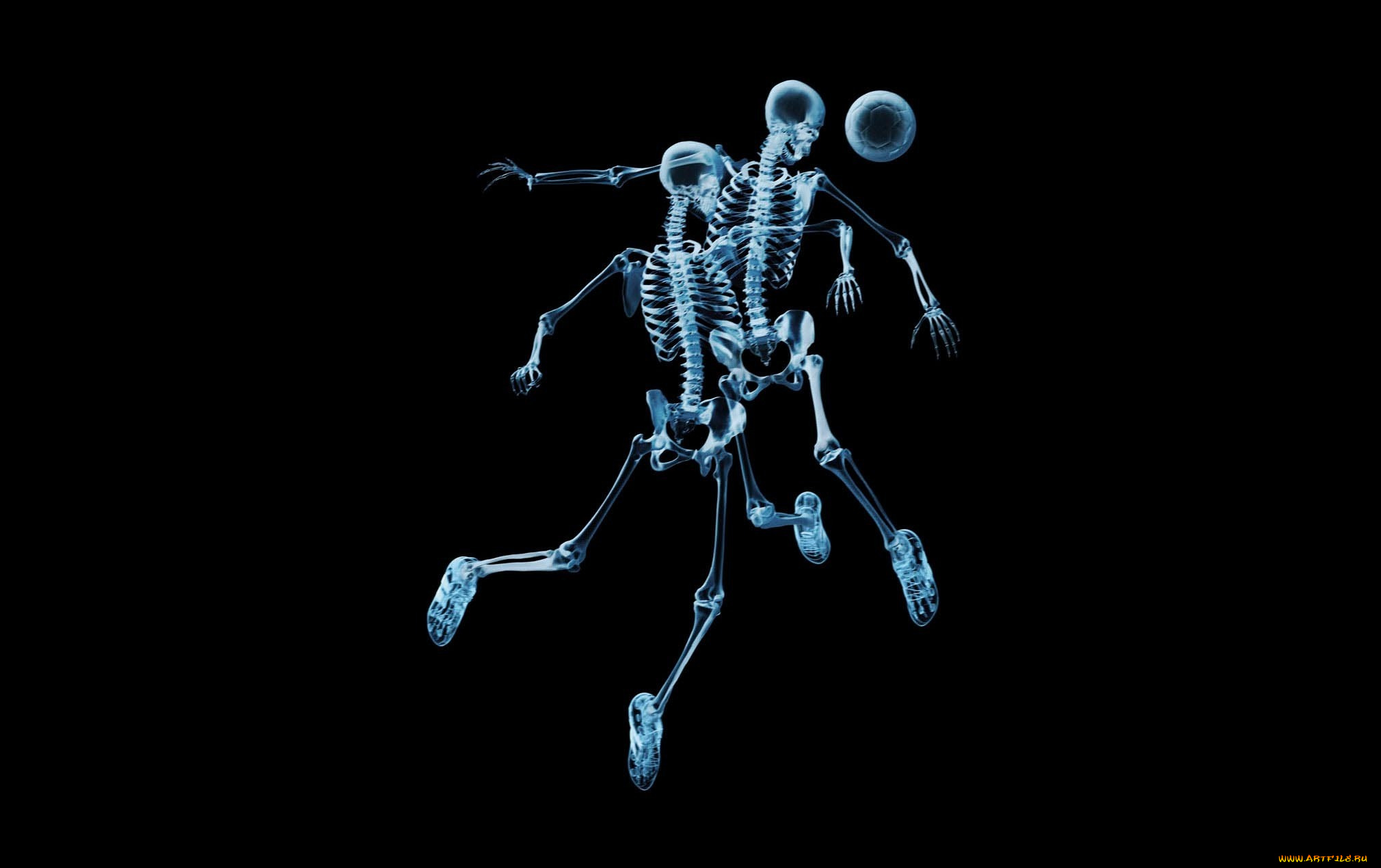 разное, кости, рентген, мяч, футбол, скелеты