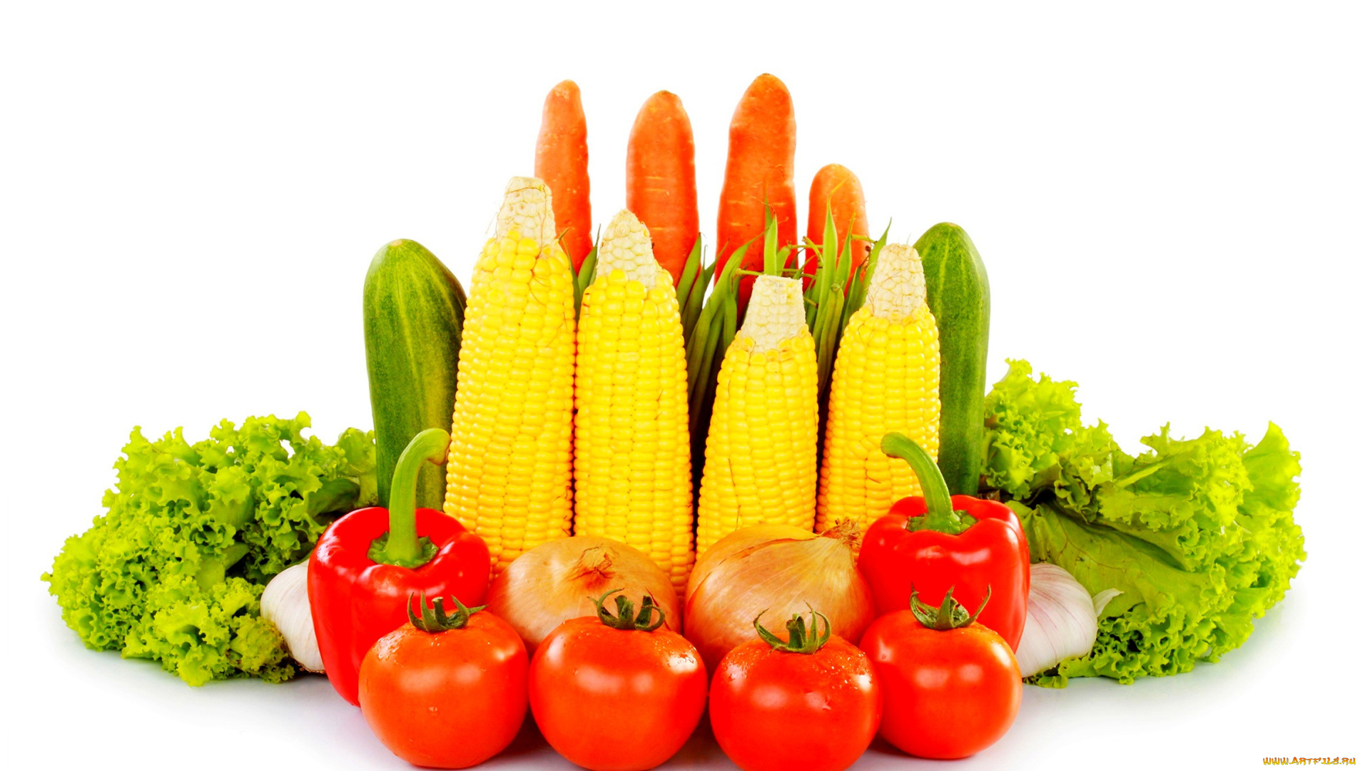 еда, овощи, огурец, перец, лук, зелень, помидоры, кукуруза, белый, фон