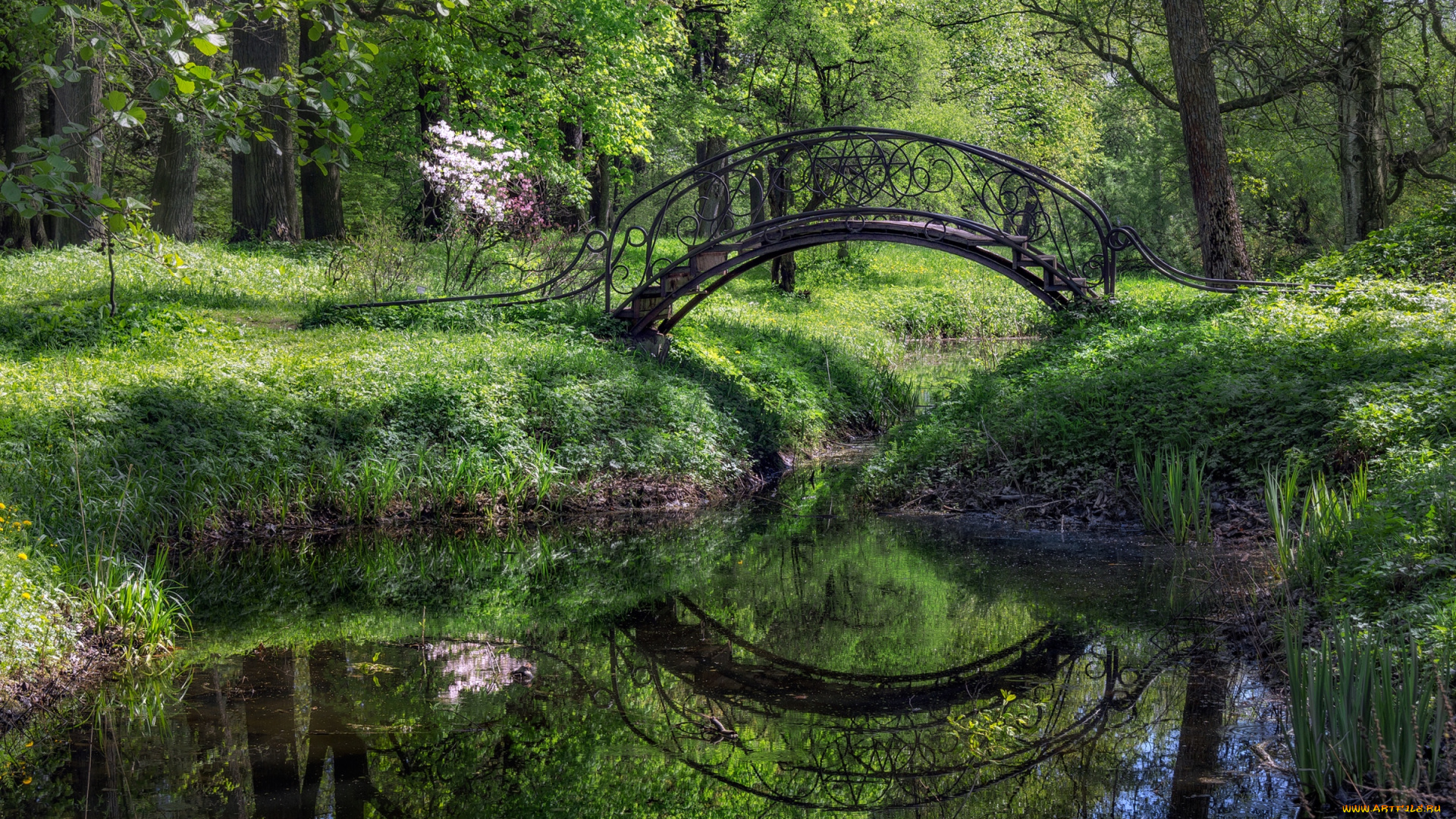 природа, парк, зелень, мост
