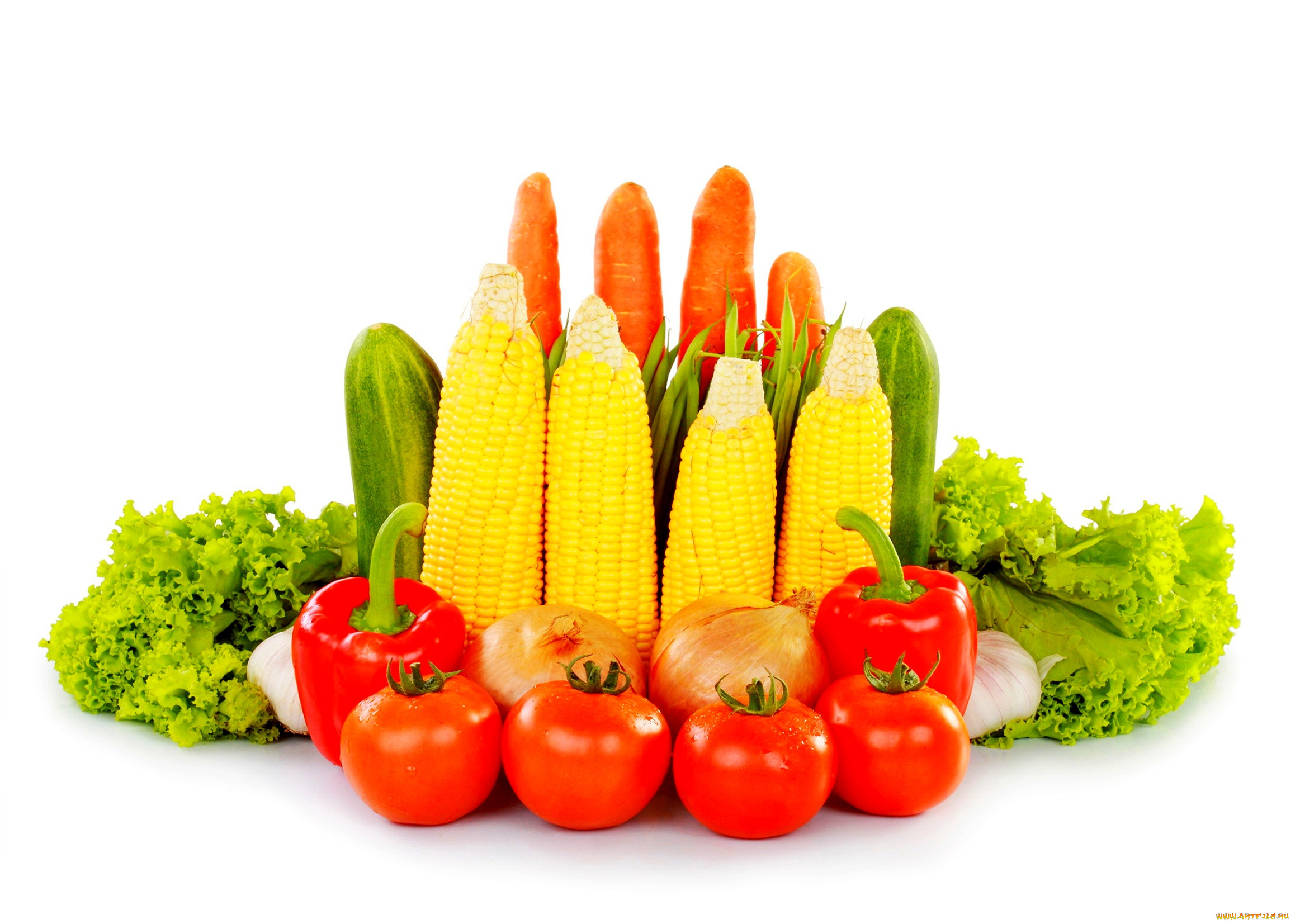 еда, овощи, огурец, перец, лук, зелень, помидоры, кукуруза, белый, фон