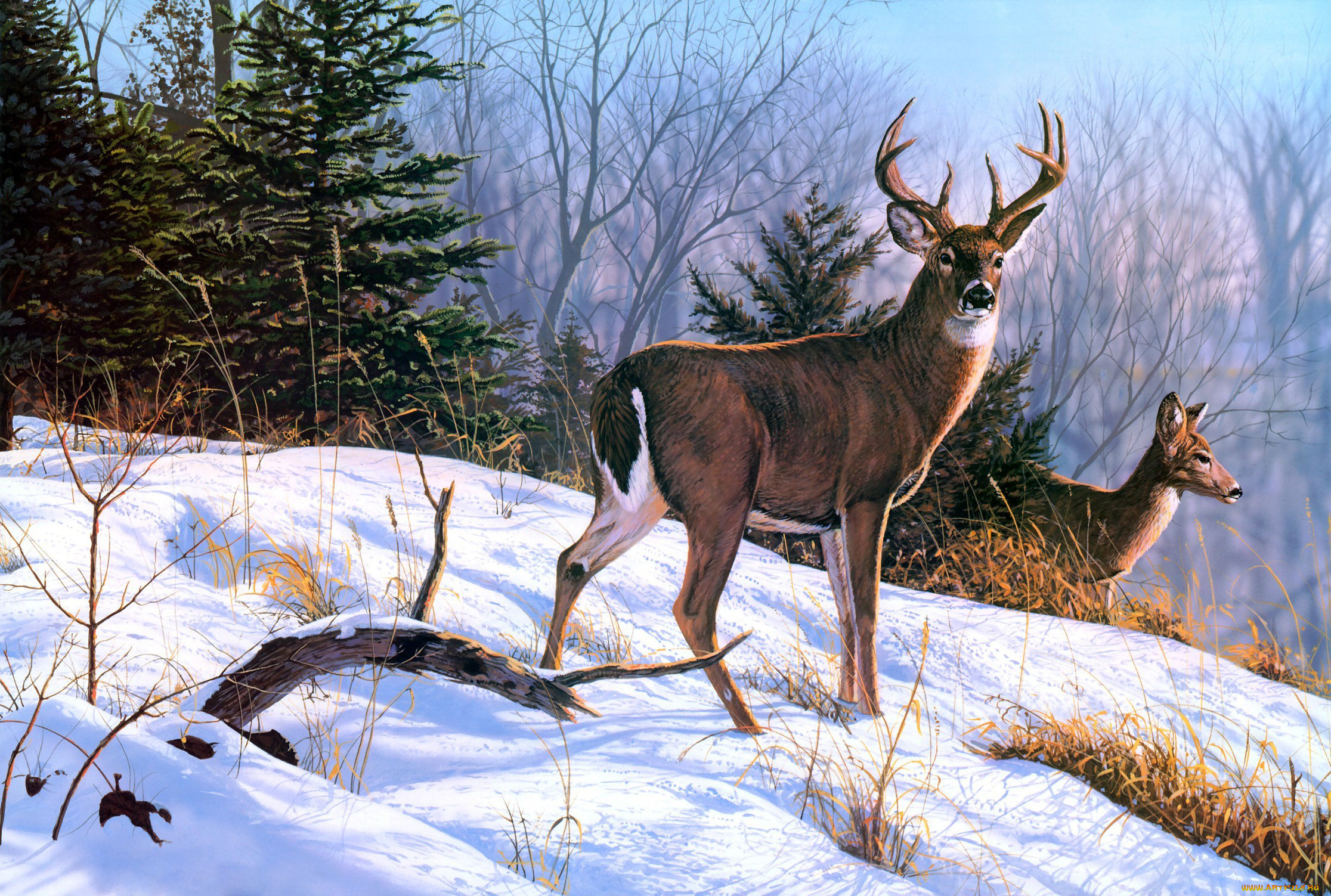 рисованное, животные, лес, снег, зима, рога, олени