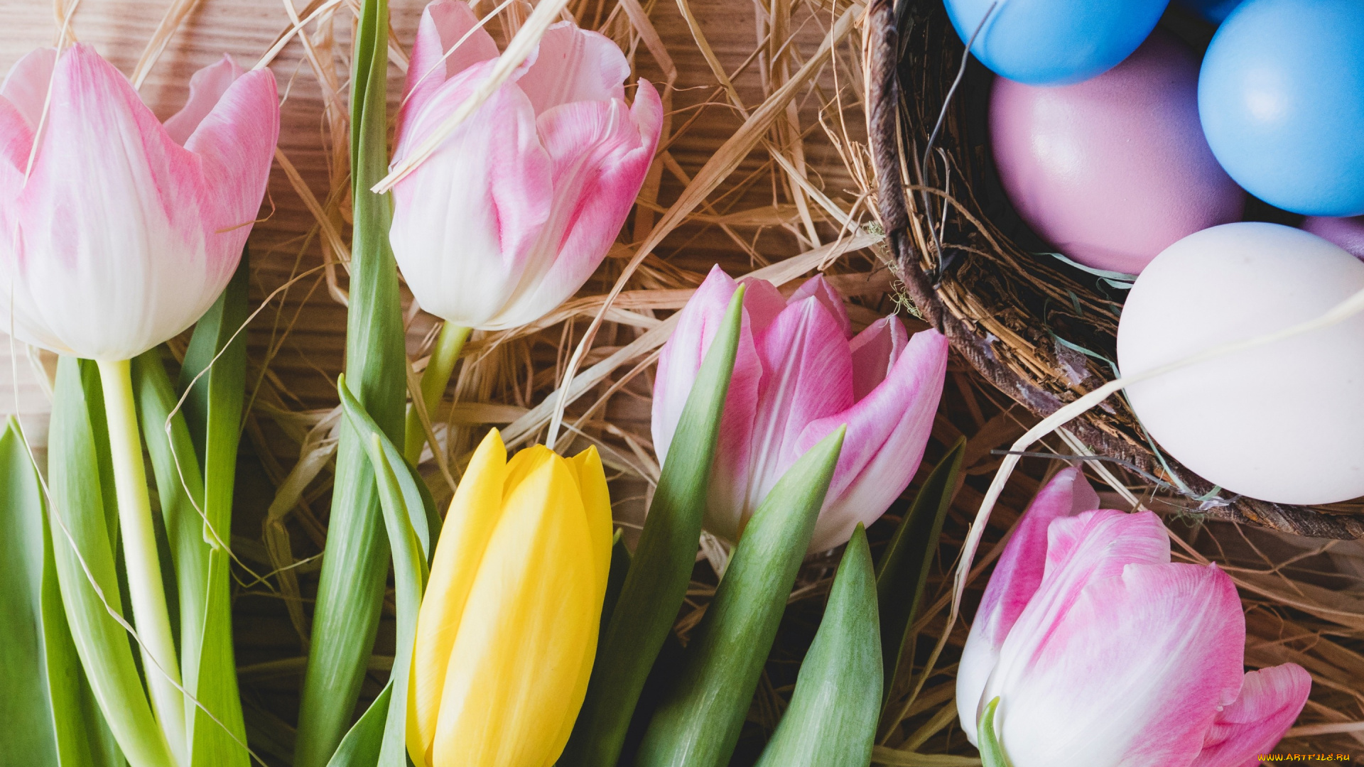 праздничные, пасха, pink, тюльпаны, tulips, tender, spring, easter, decoration, розовые, весна, flowers, happy, цветы, eggs, яйца, крашеные