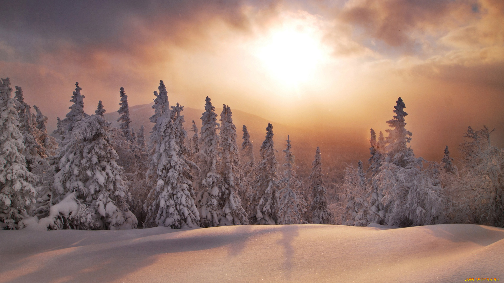 природа, зима, южный, урал, сугробы, закат, ели, лес, россия, снег, хребет, уреньга