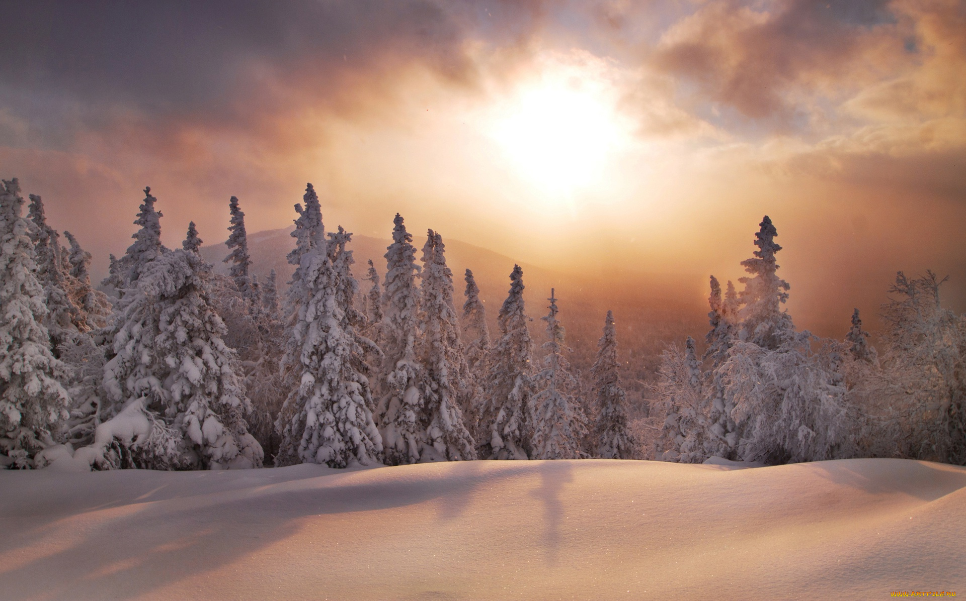 природа, зима, южный, урал, сугробы, закат, ели, лес, россия, снег, хребет, уреньга