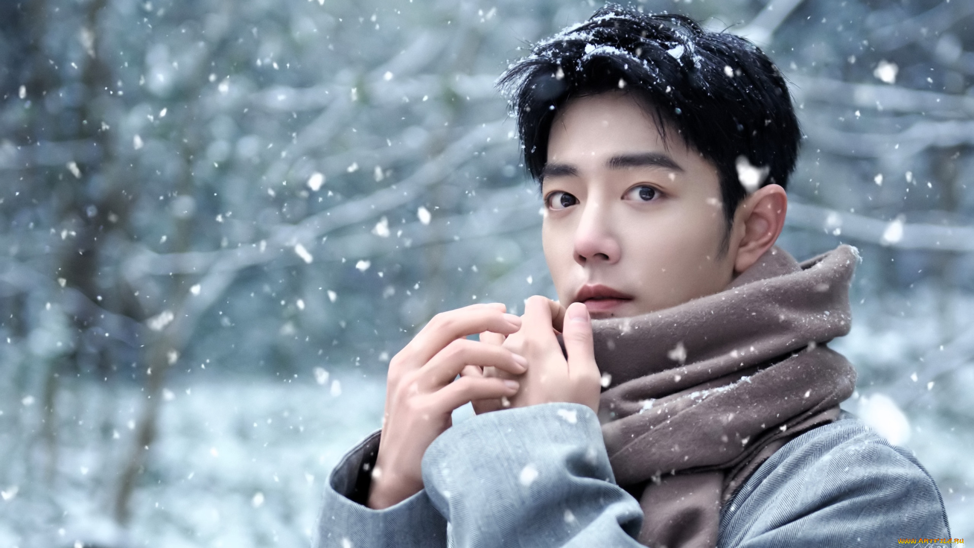 мужчины, xiao, zhan, актер, лицо, шарф, снег