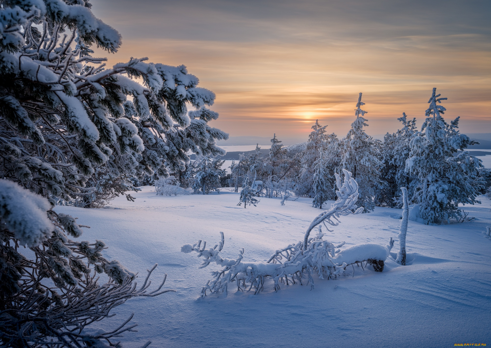 природа, зима, снег