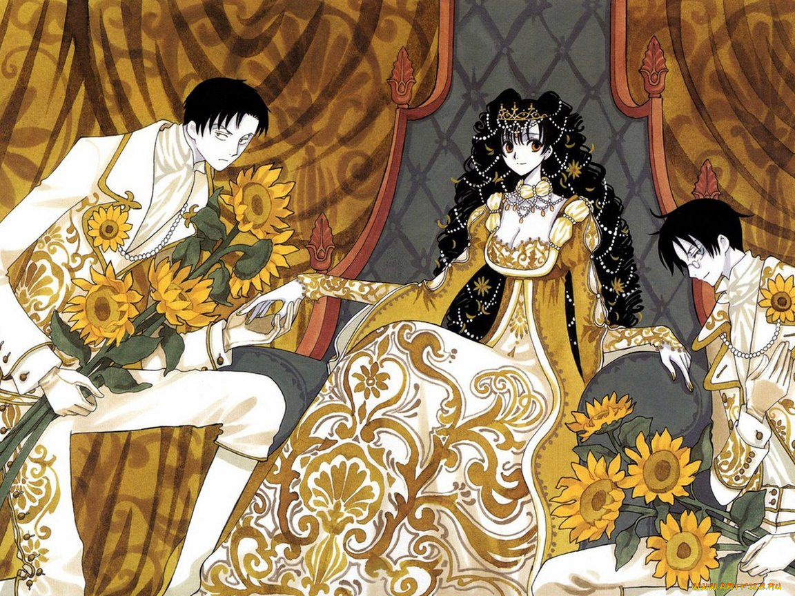 аниме, xxxholic