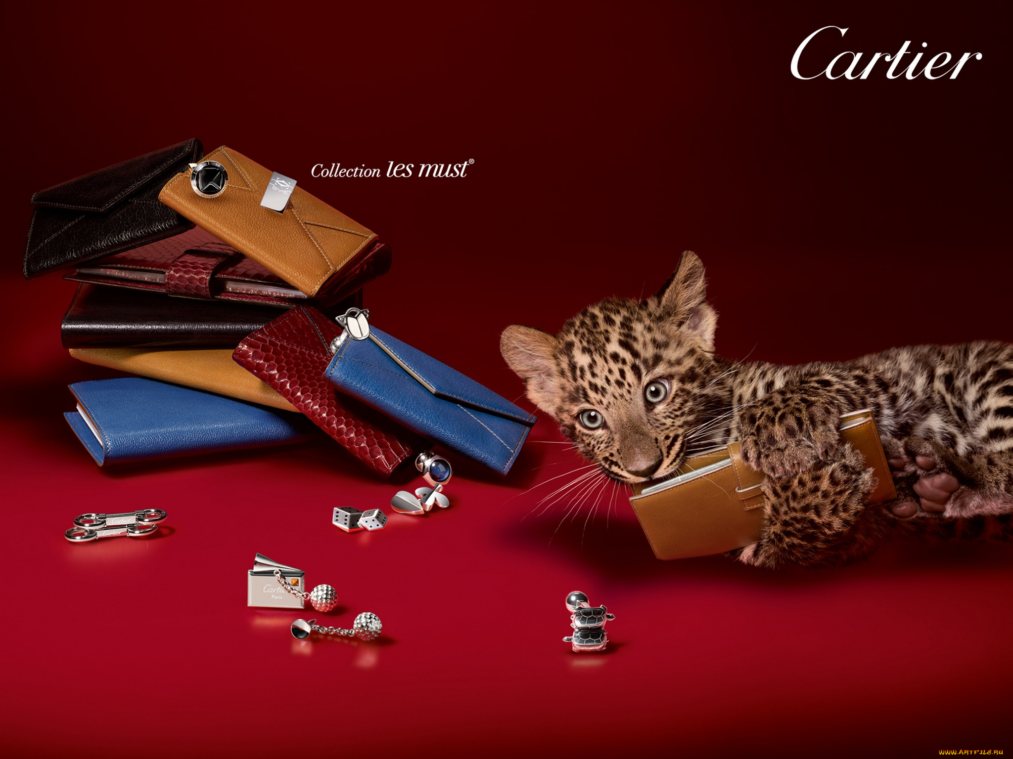 cartier, бренды