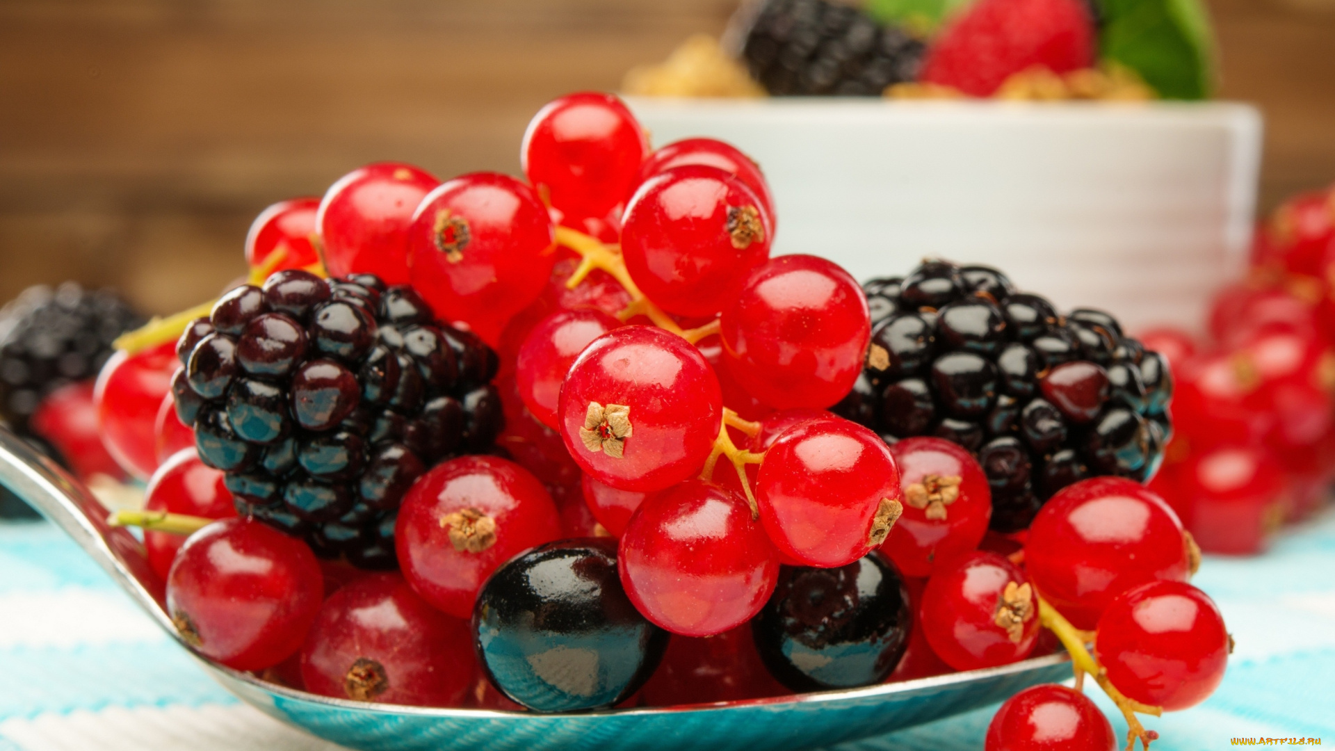 еда, фрукты, , ягоды, ягоды, fresh, berries, ежевика, смородина