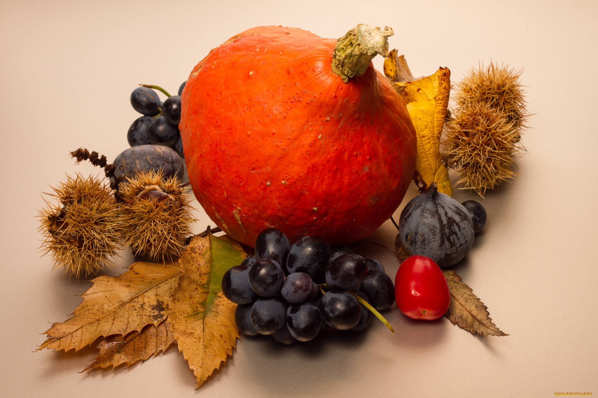 еда, фрукты, и, овощи, вместе, листья, осень, ягоды, фон, тыква
