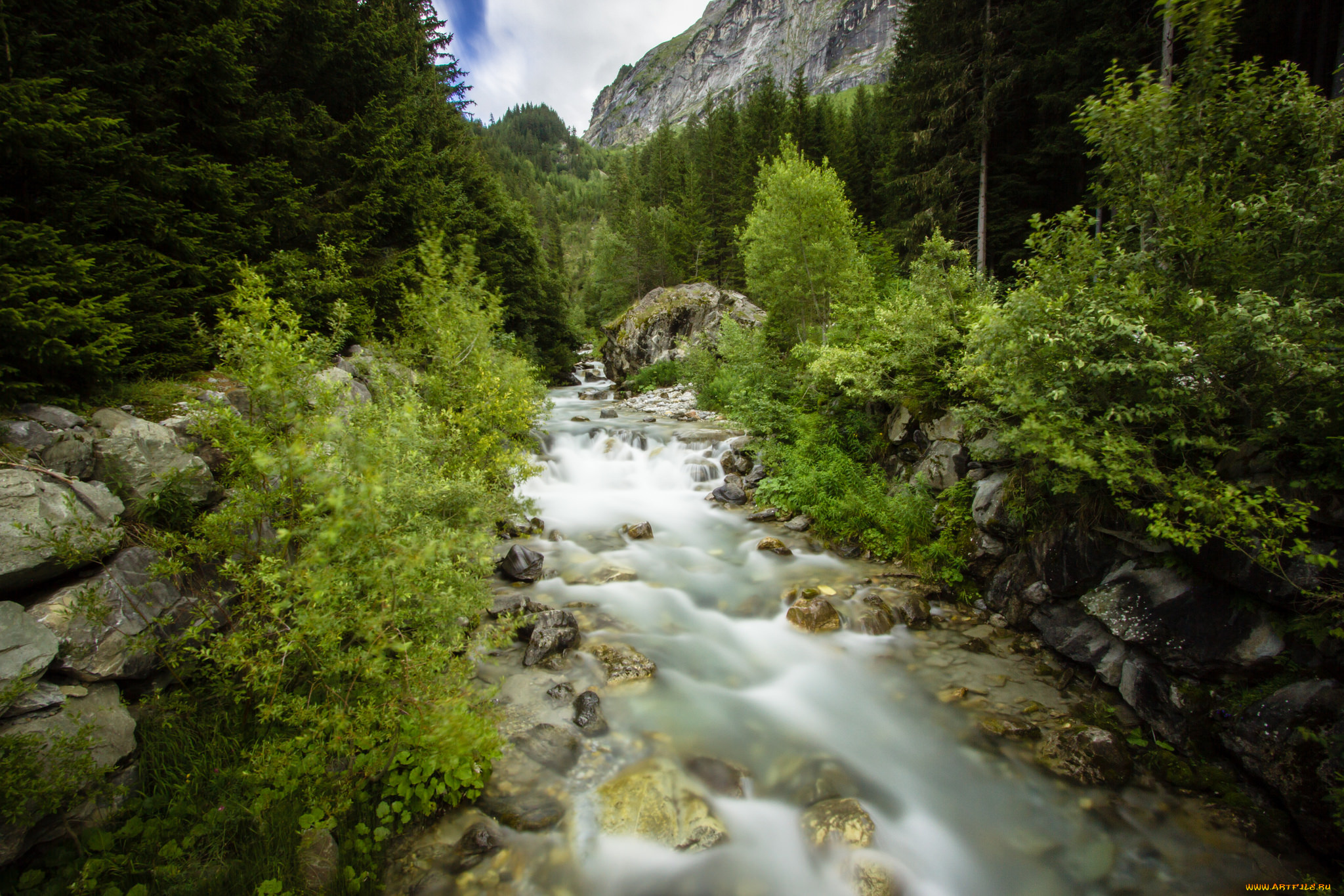 природа, реки, озера, река, зелень, деревья