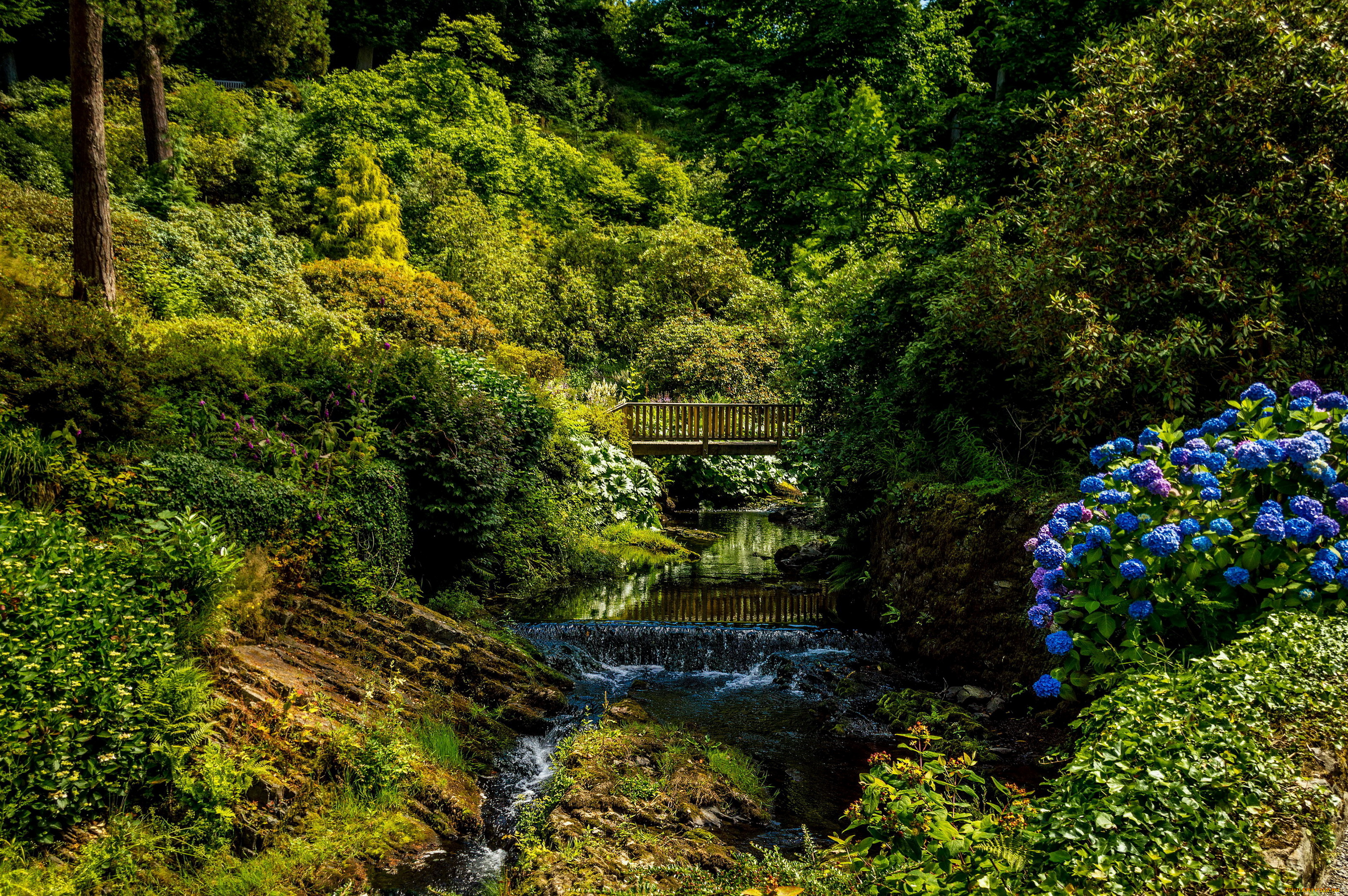 bodnant, gardens, , , великобритания, природа, парк, gardens, wales, великобритания, река, мостик, кусты, деревья