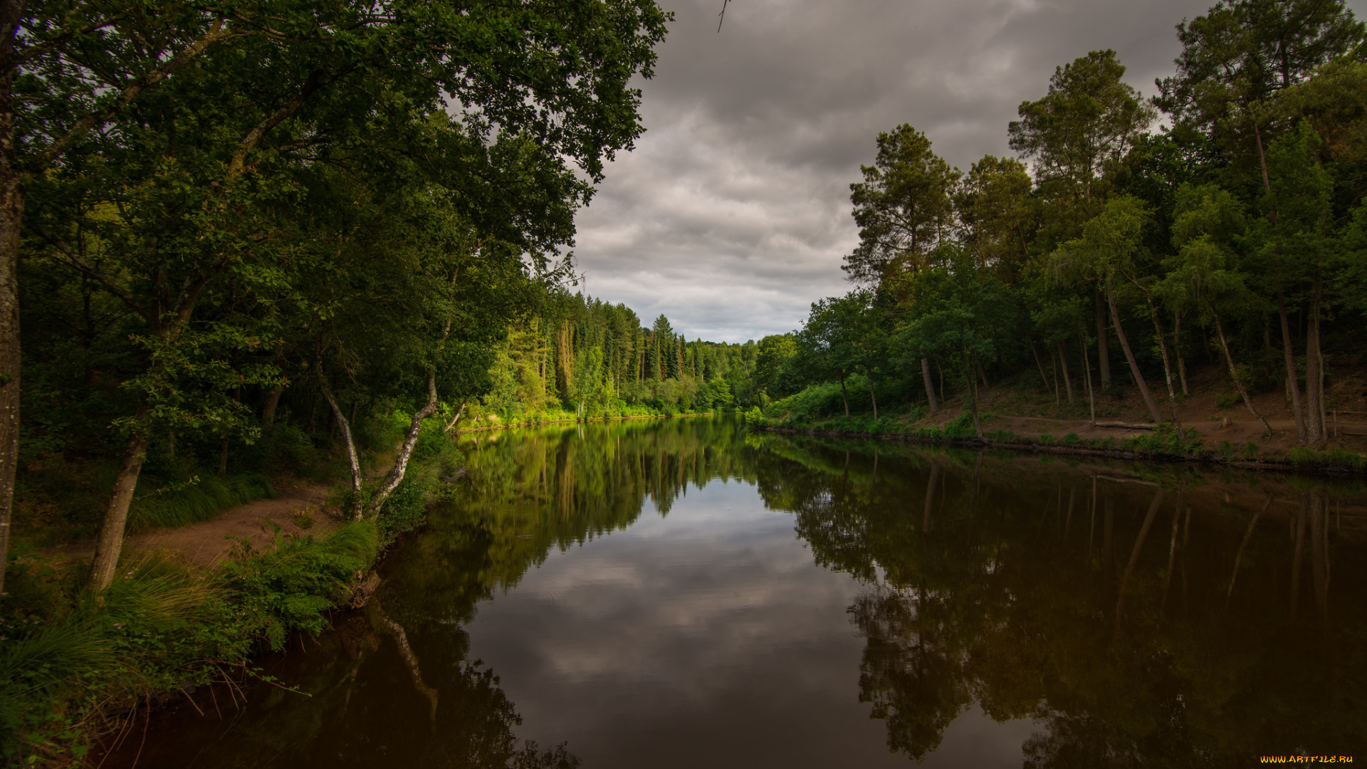 природа, реки, озера, река, лес