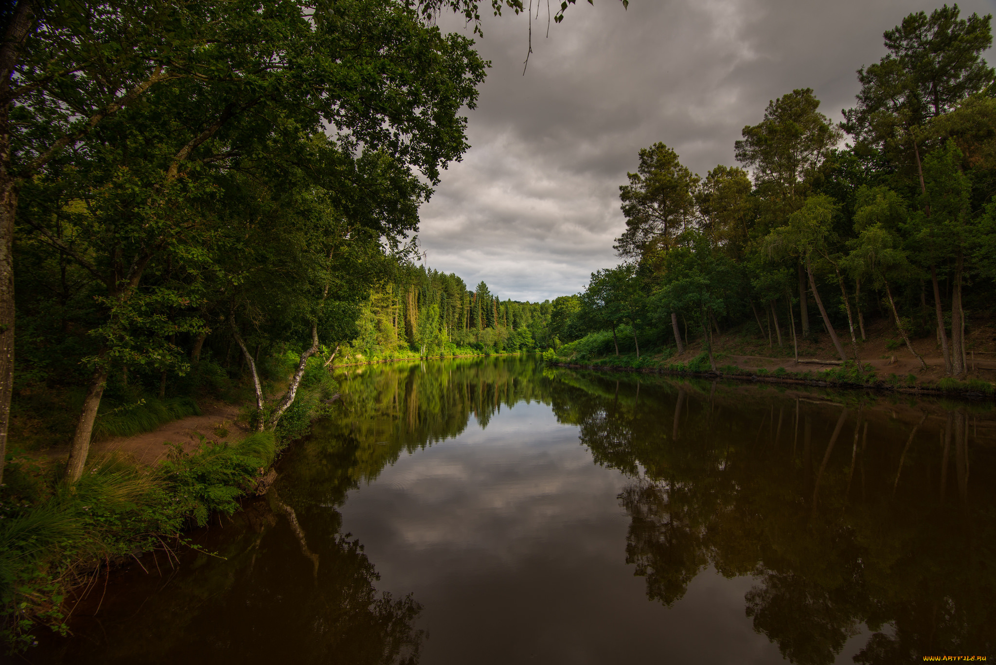 природа, реки, озера, река, лес