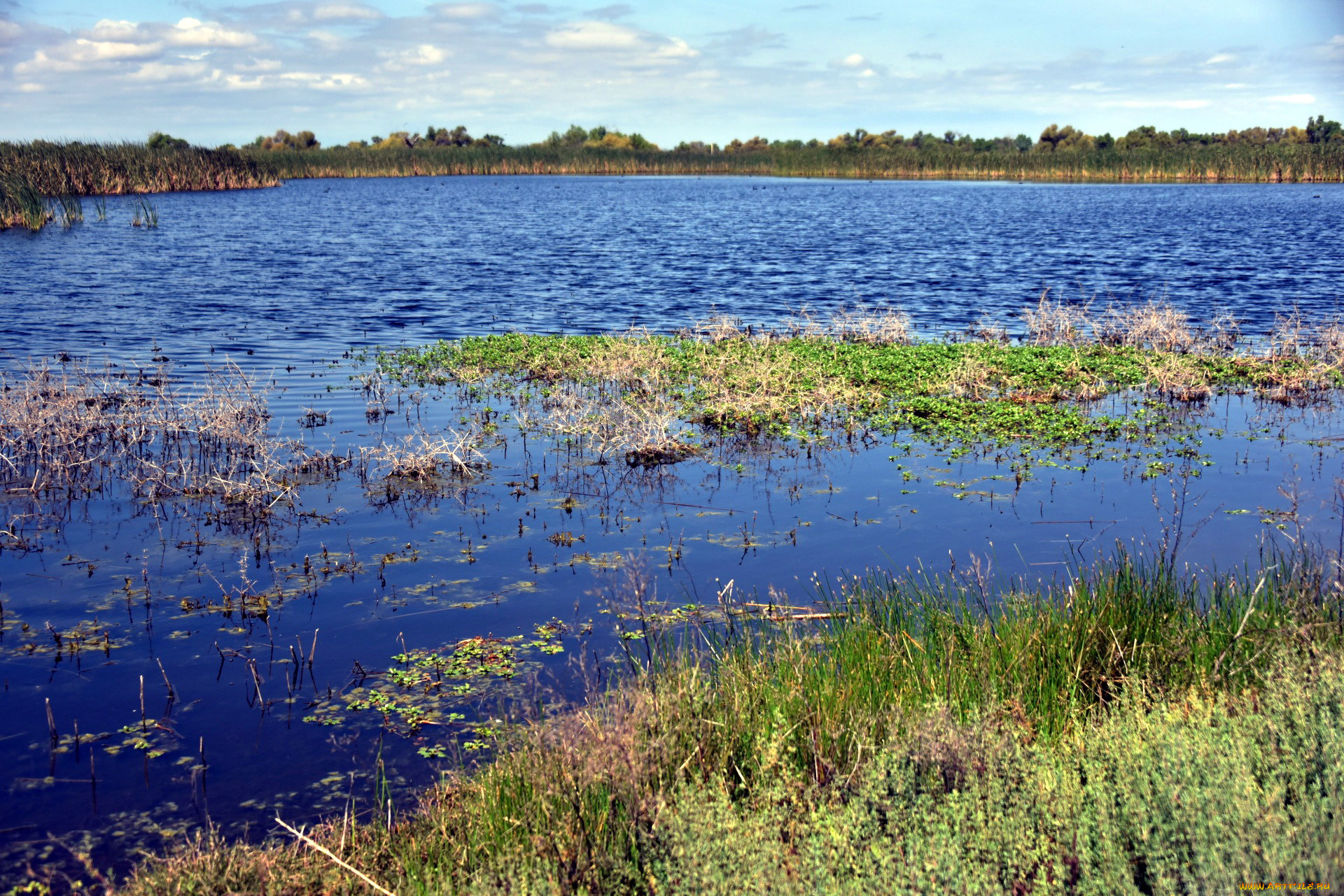 природа, реки, озера, вода