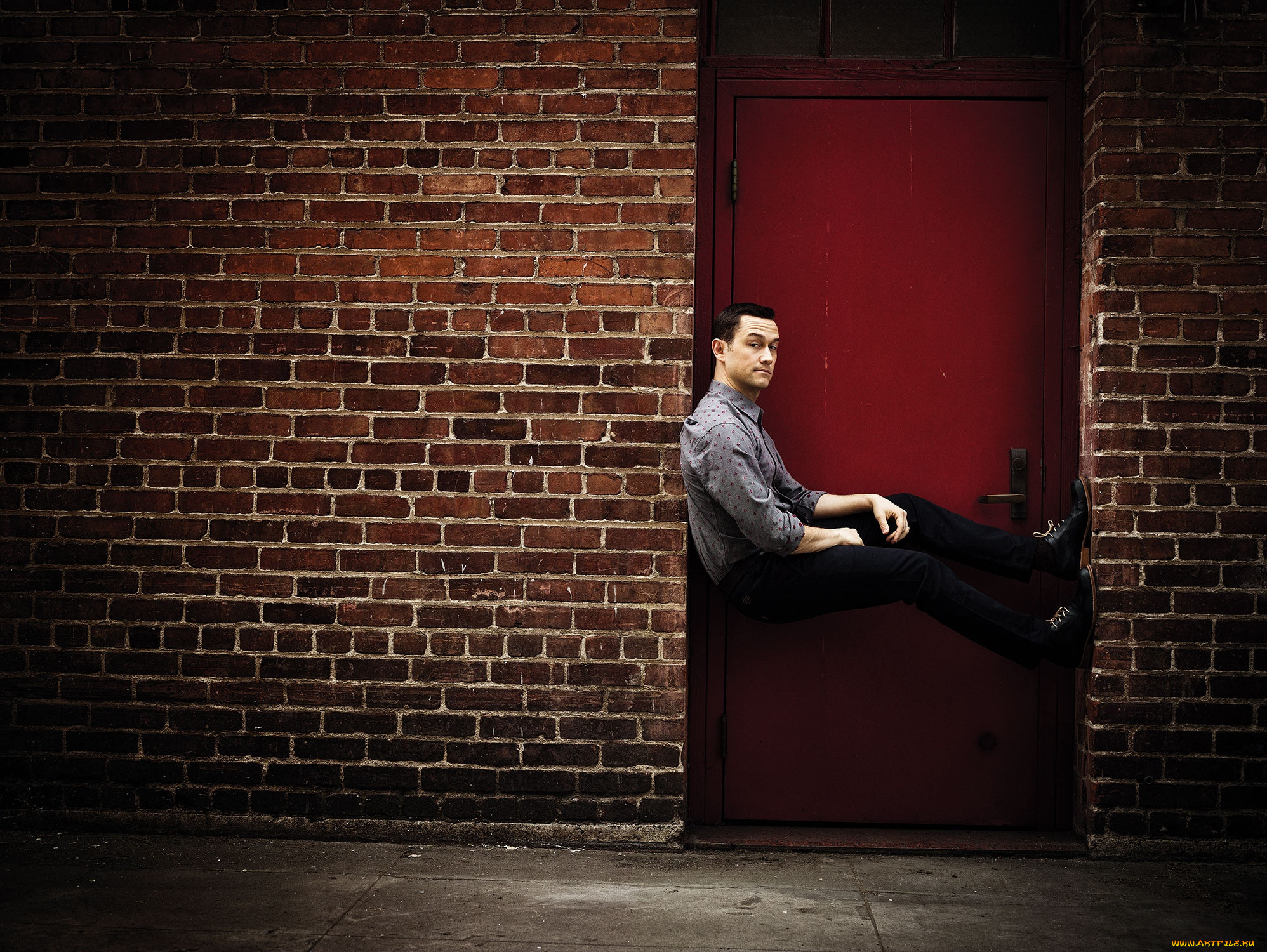 Стоящий ц. Joseph Gordon Levitt Brick. Джозеф Гордон- Левитт на рабочий стол. Joseph Gordon Levitt Photoshoot. Человек у стены.