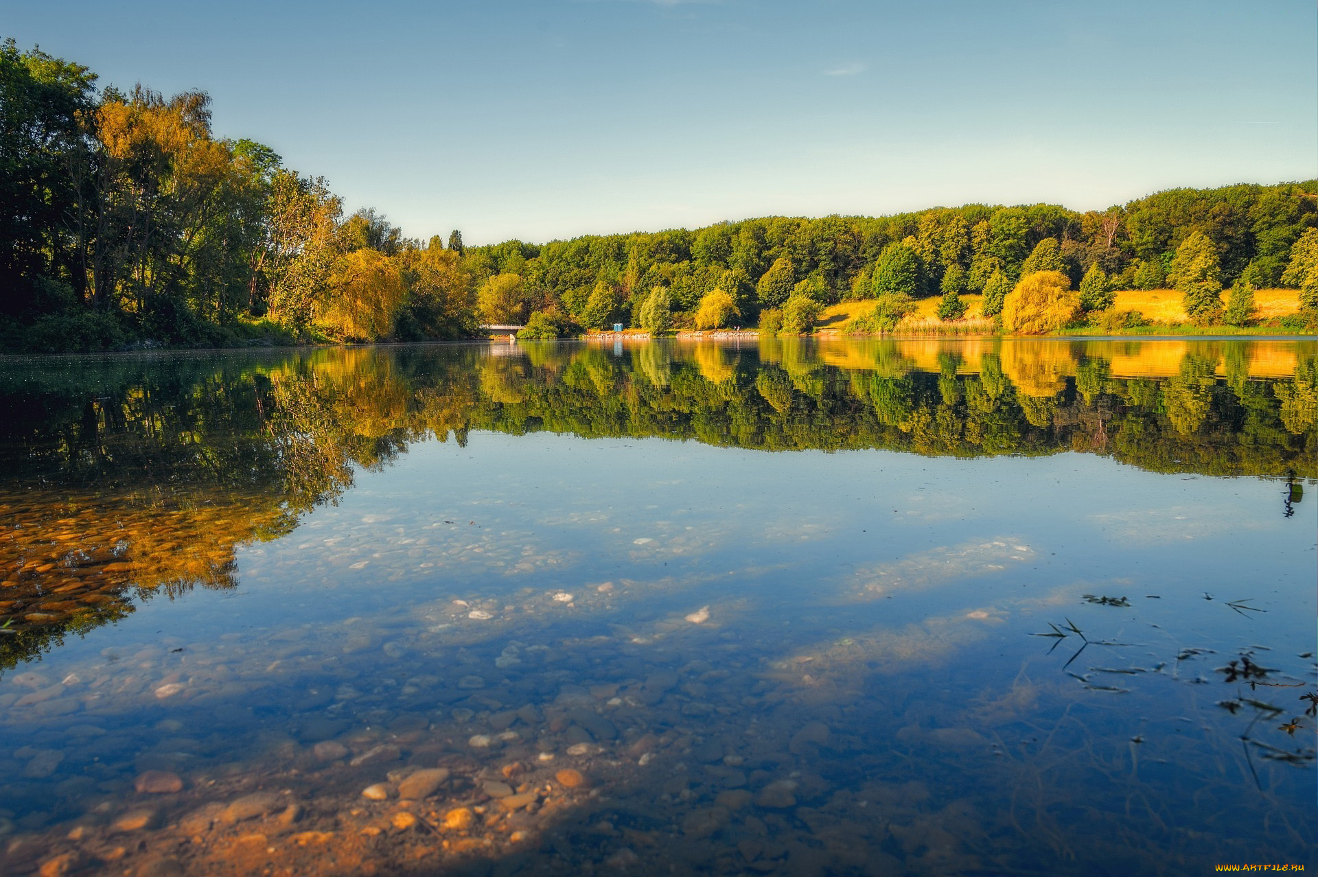 природа, реки, озера, река, осень, деревья