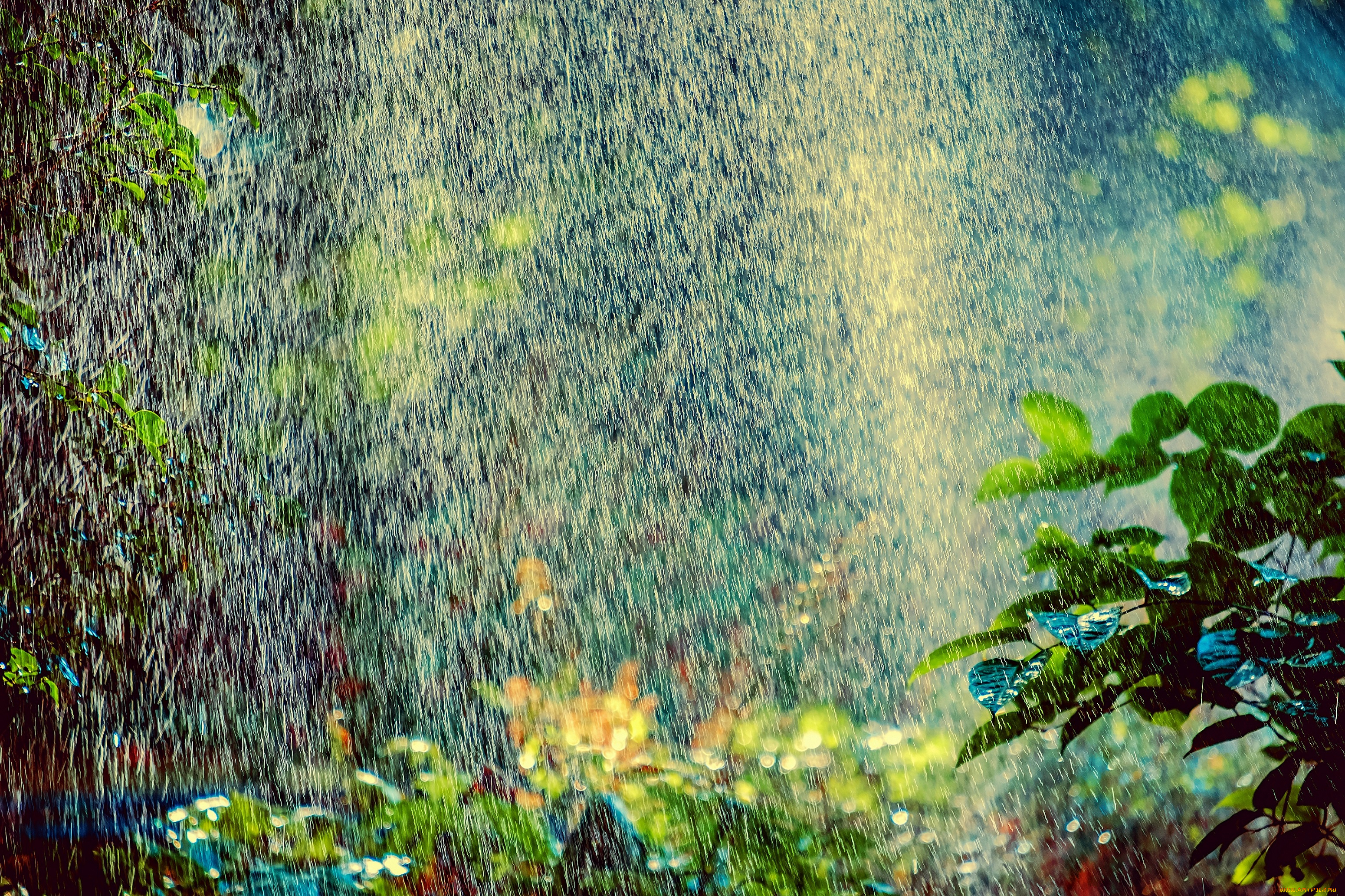 природа, стихия, дождь