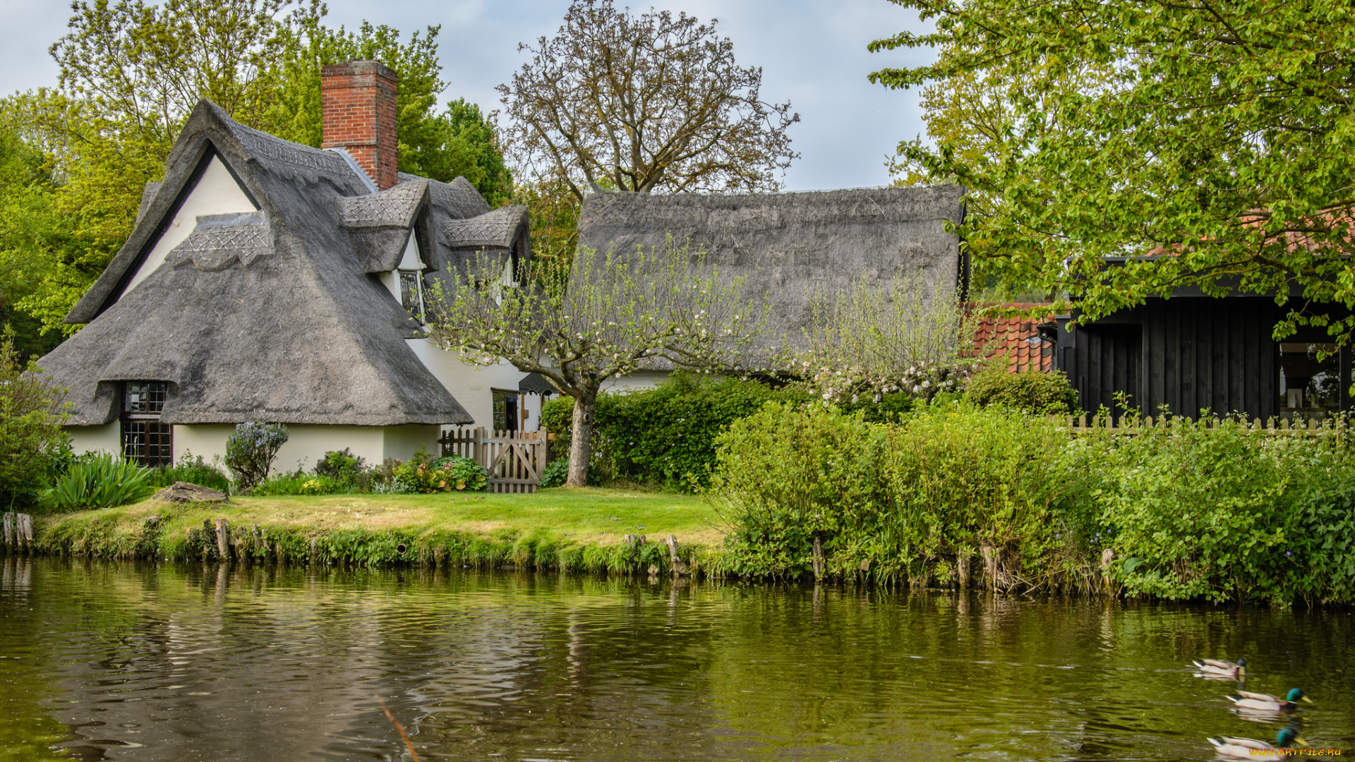 bridge, cottage, flatford, england, разное, сооружения, постройки, соломенной, коттедж, деревья, река, утки, англия