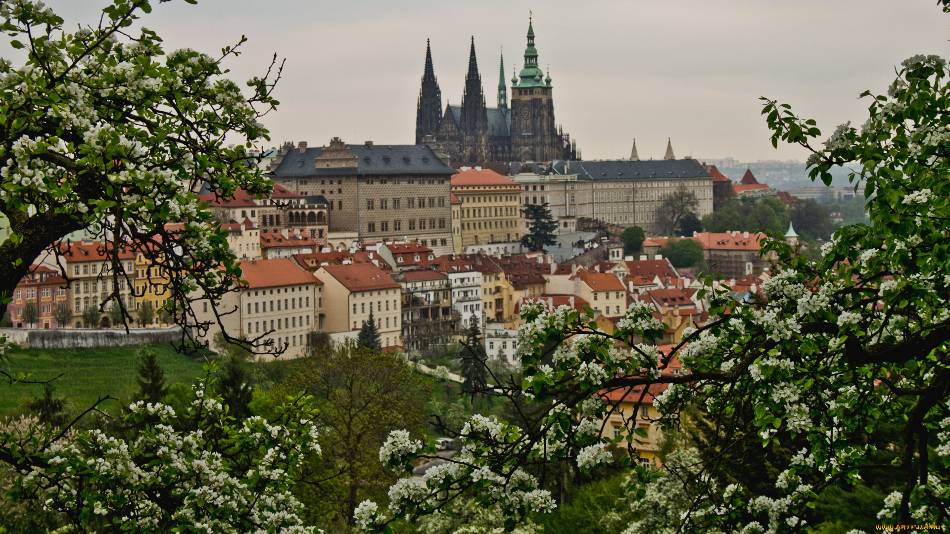 prague, czech, republic, города, прага, Чехия, здания, деревья, панорама, весна, цветение