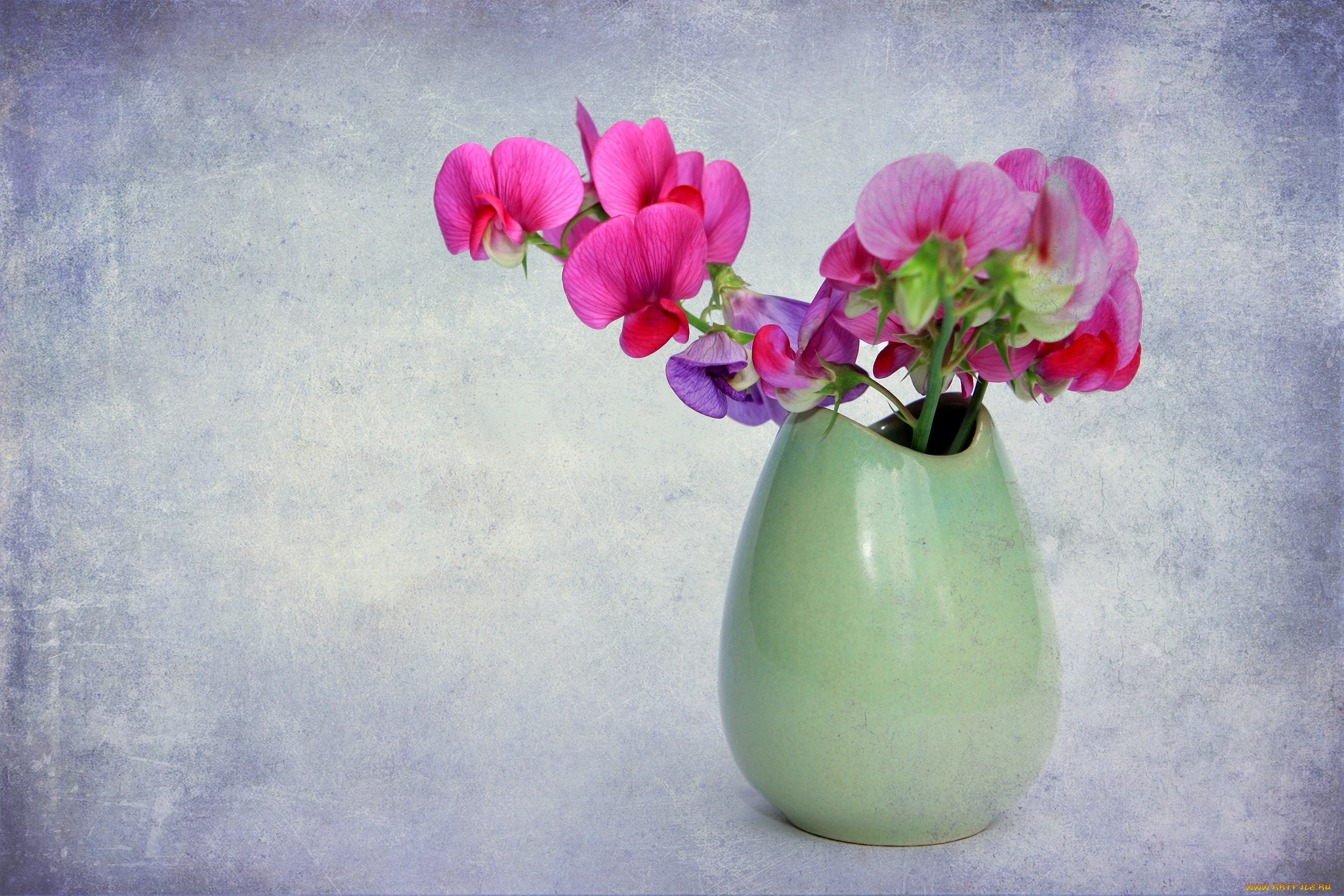 цветы, душистый, горошек, ваза