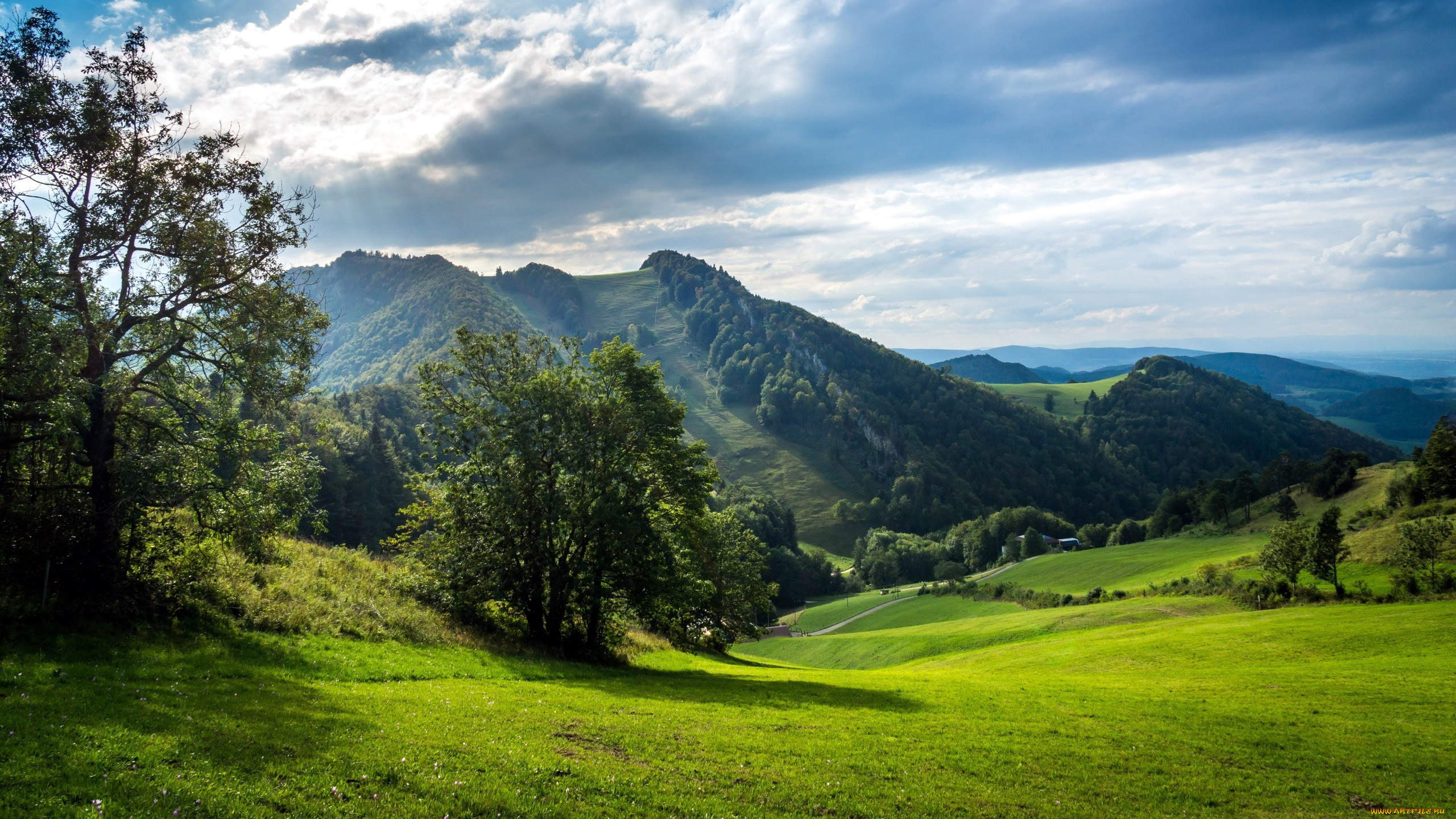 природа, пейзажи, холмы, трава, деревья