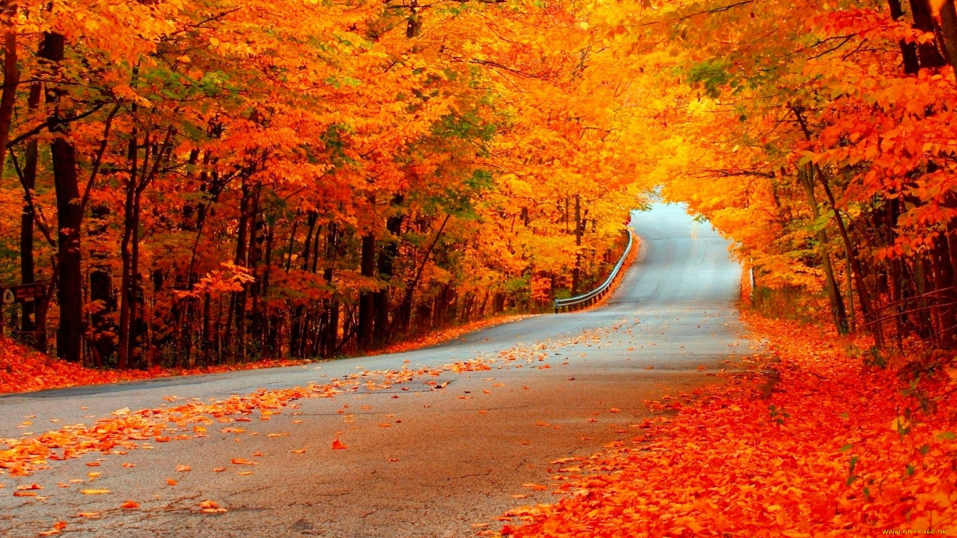 природа, дороги, осень, листья, дорога, деревья