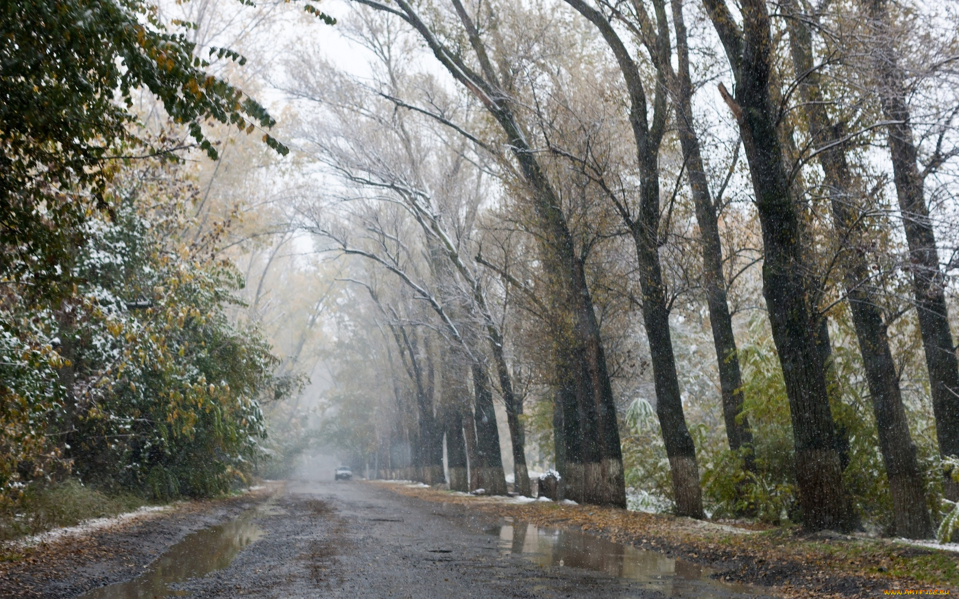 природа, дороги, осень, слякоть, дорога, деревья, снег