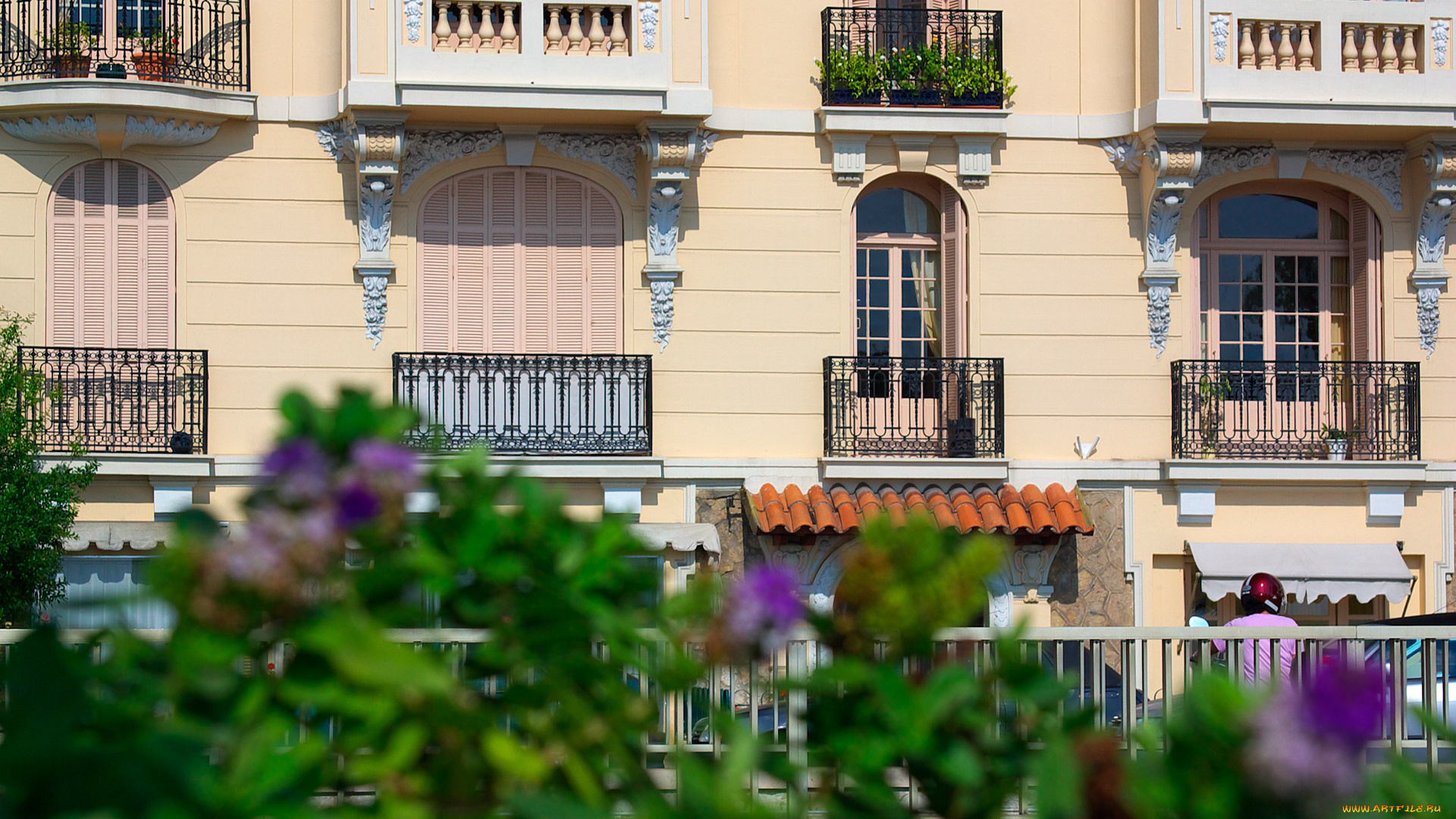 monte, carlo, города, монте, карло, монако