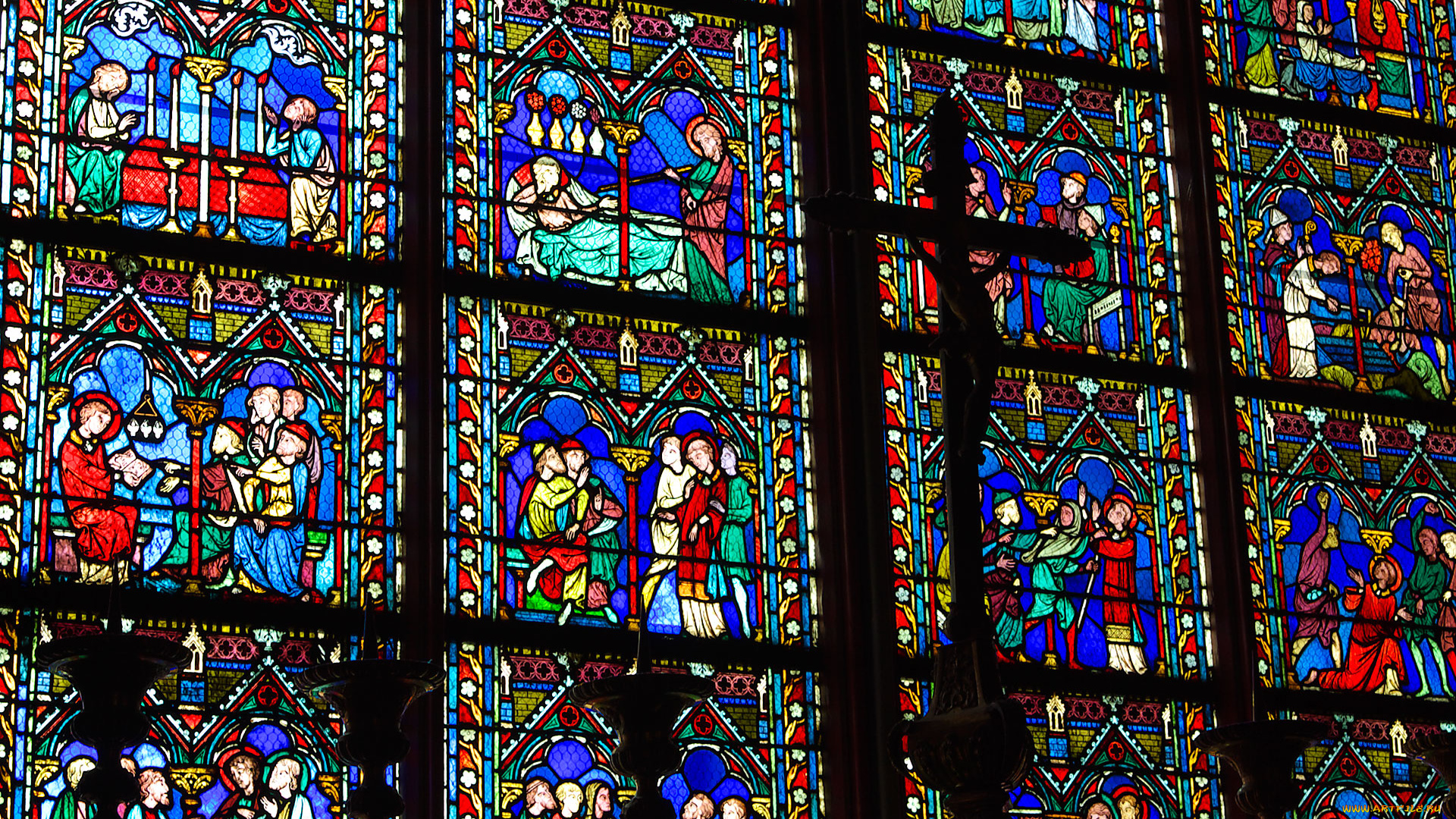 stained, glass, of, notre, dame, cathedral, paris, разное, религия