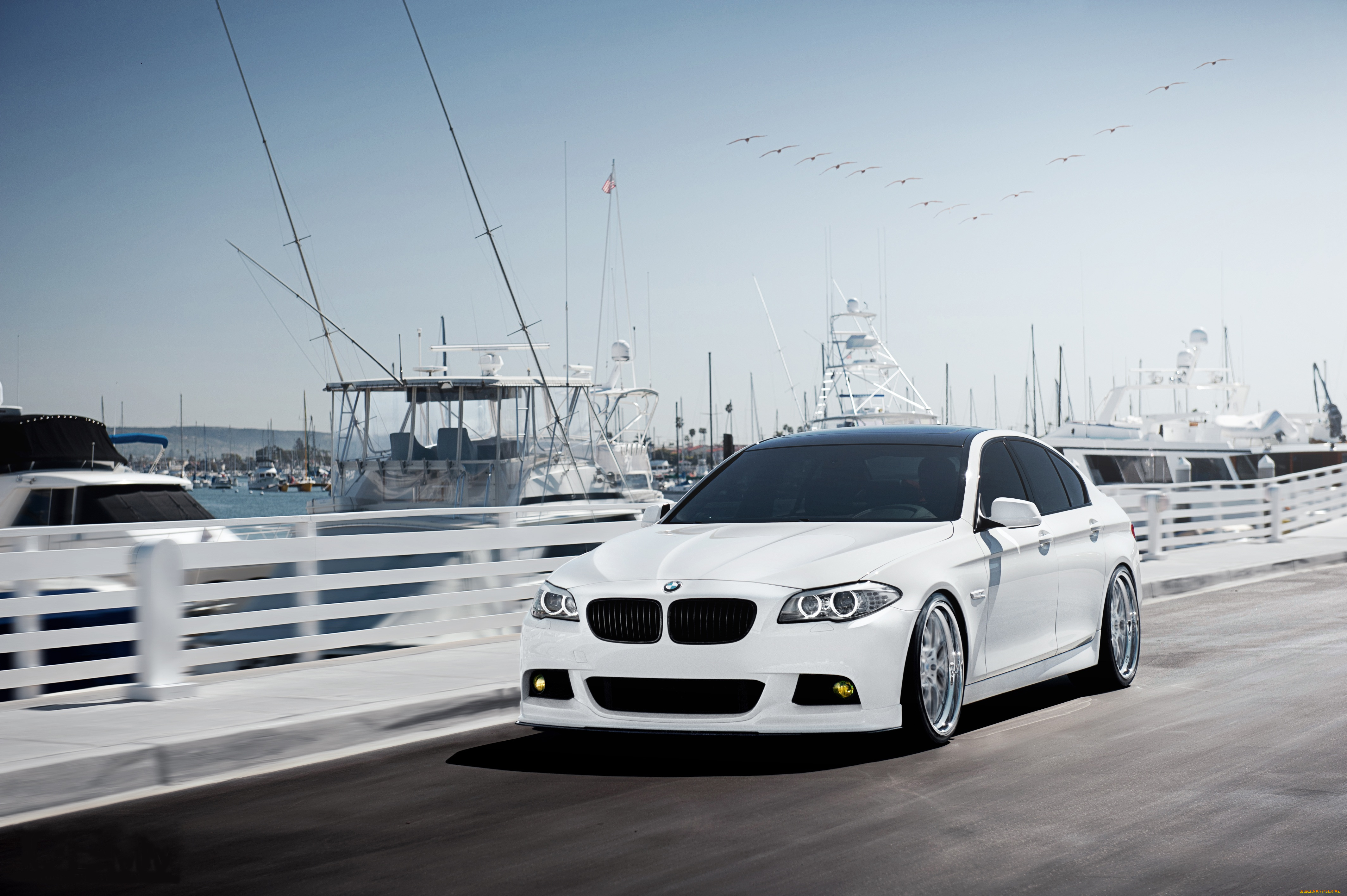 Белый автомобиль. BMW f10 белая. БМВ м5 белая. BMW 5 f10. BMW 5 Series (f10) White.