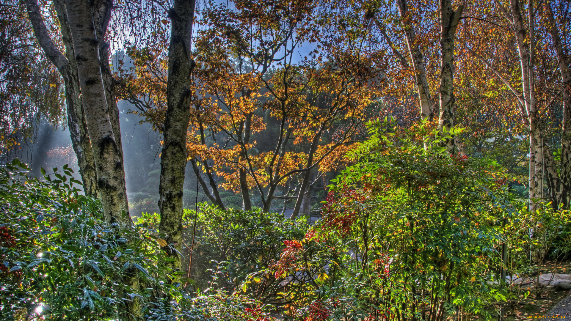 earl, burns, miller, japanese, garden, california, usa, природа, парк, растения