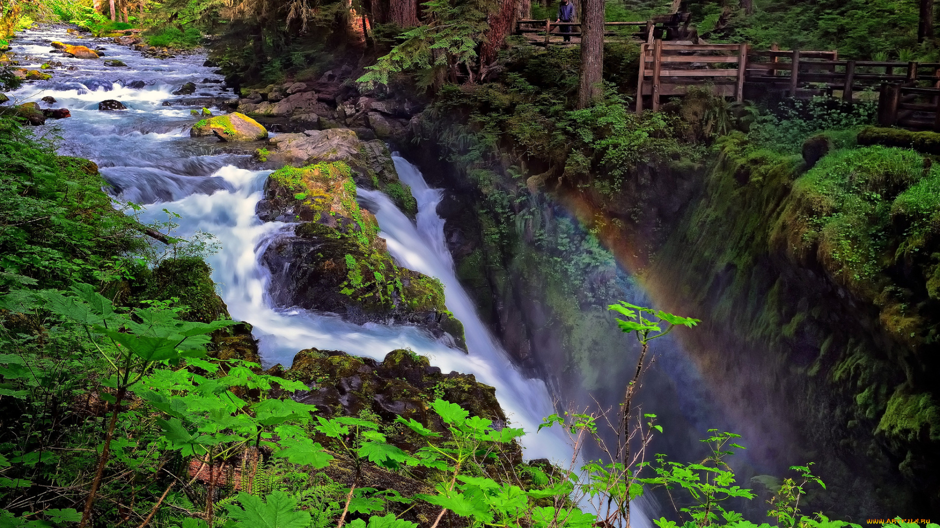 sol, duc, falls, olympic, national, park, washington, природа, водопады, река, лес, радуга