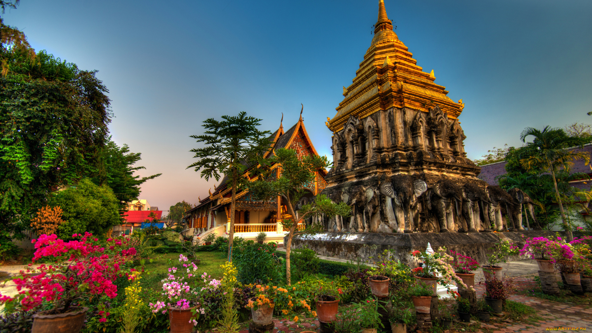 wat, chiang, man, mai, thailand, города, буддистские, другие, храмы, храм, ват, Чианг, ман, Чиангмай, тайланд, цветы