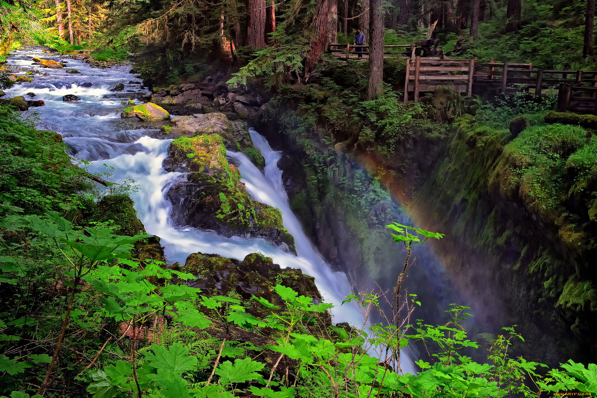 sol, duc, falls, olympic, national, park, washington, природа, водопады, река, лес, радуга