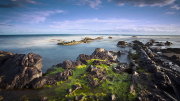 Картинка природа побережье камни берег океан тина туман горизонт