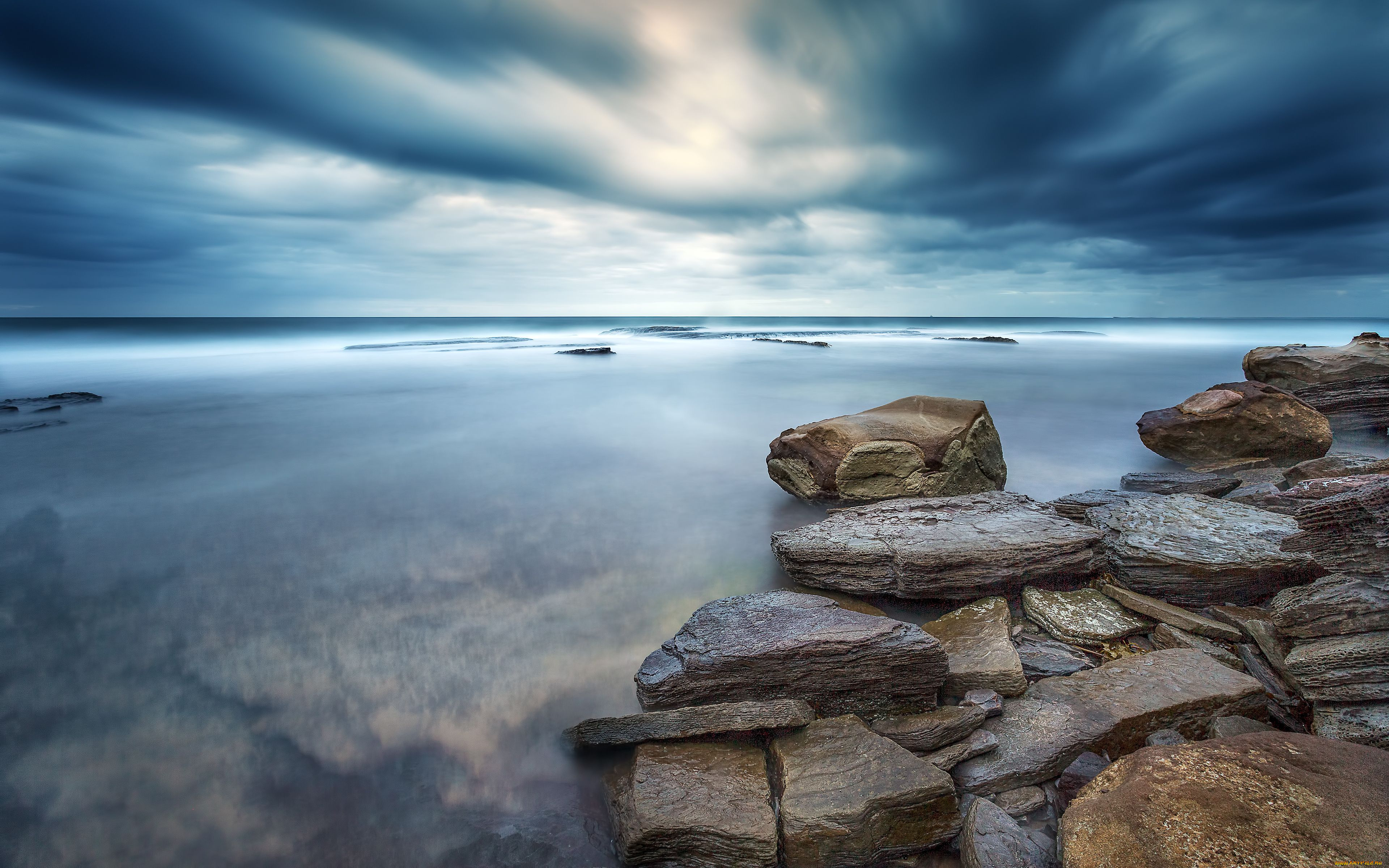 whale, beach, new, south, wales, australia, природа, моря, океаны, tasman, sea, тасманово, море, австралия, камни, горизонт