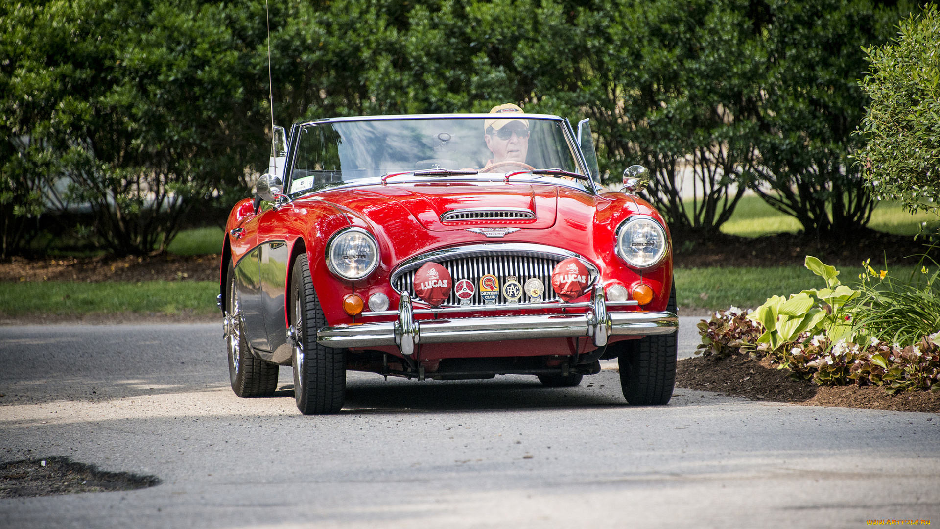 austin, healey, 1000, автомобили, austin, austin-healy, автопробег, выставка, автошоу