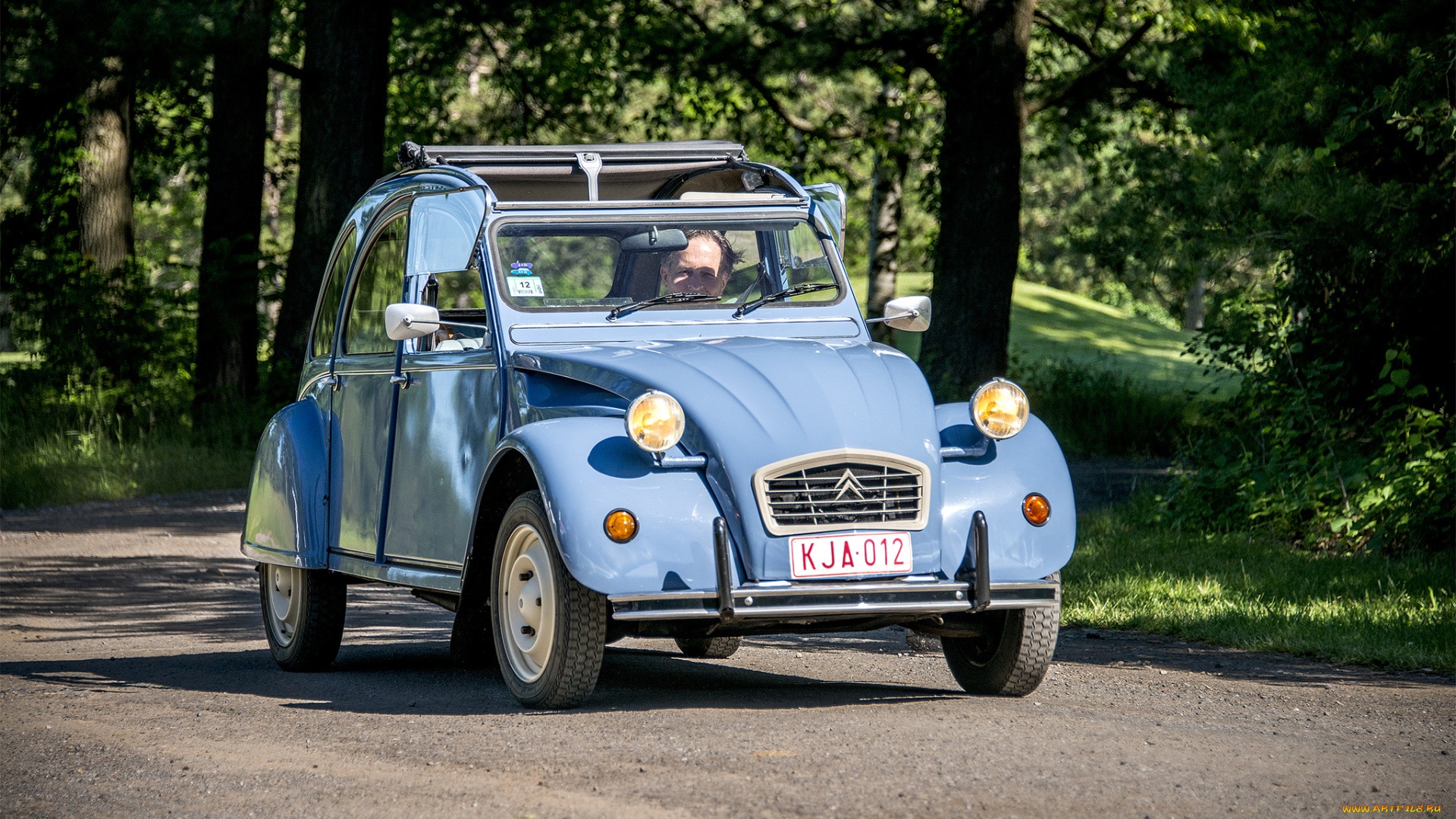 citroen, 2cv, автомобили, citroen, автошоу, автопробег, выставка