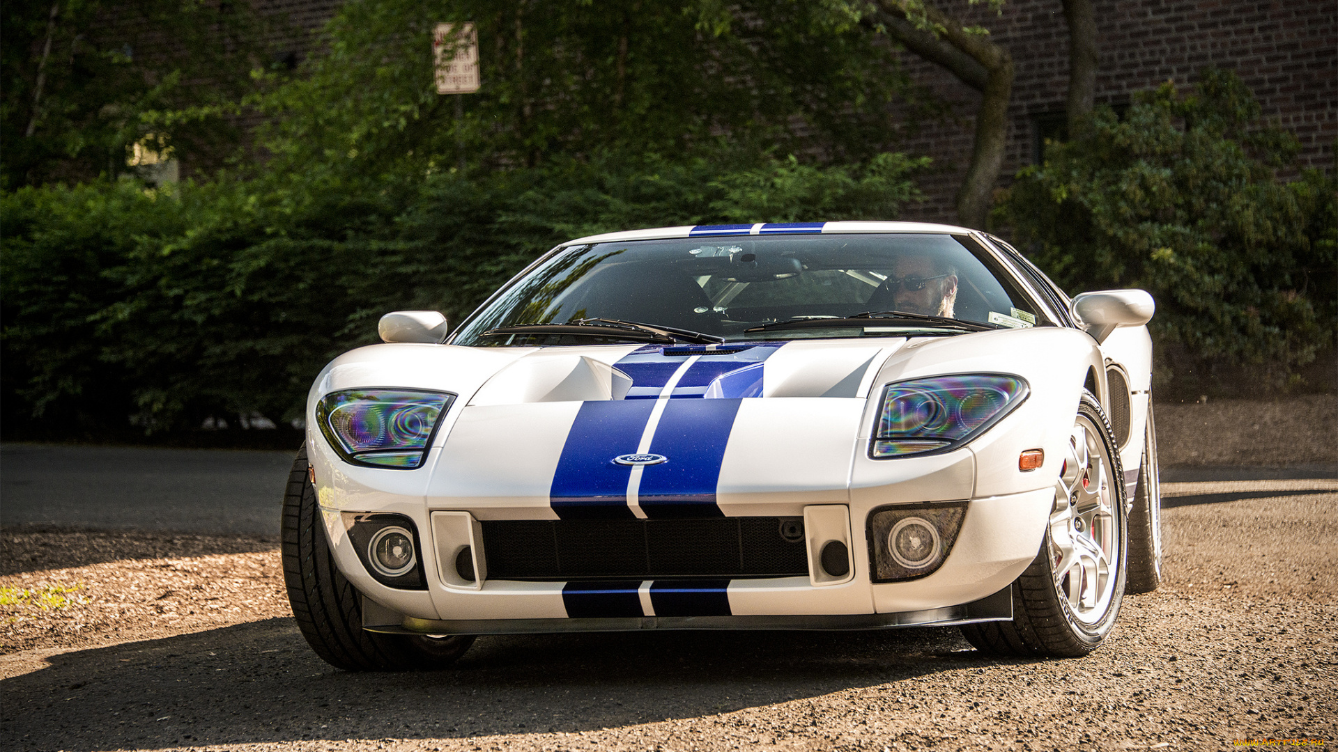 ford, gt, автомобили, ford, выставка, автопробег, автошоу