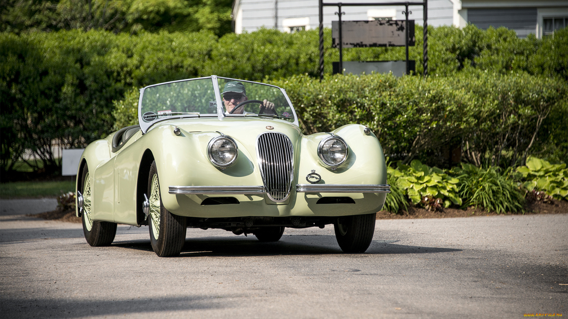 jaguar, xk150, автомобили, jaguar, выставка, автошоу, автопробег