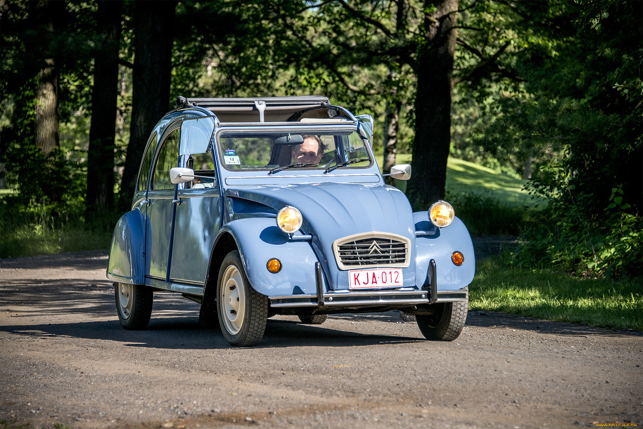 citroen, 2cv, автомобили, citroen, автошоу, автопробег, выставка