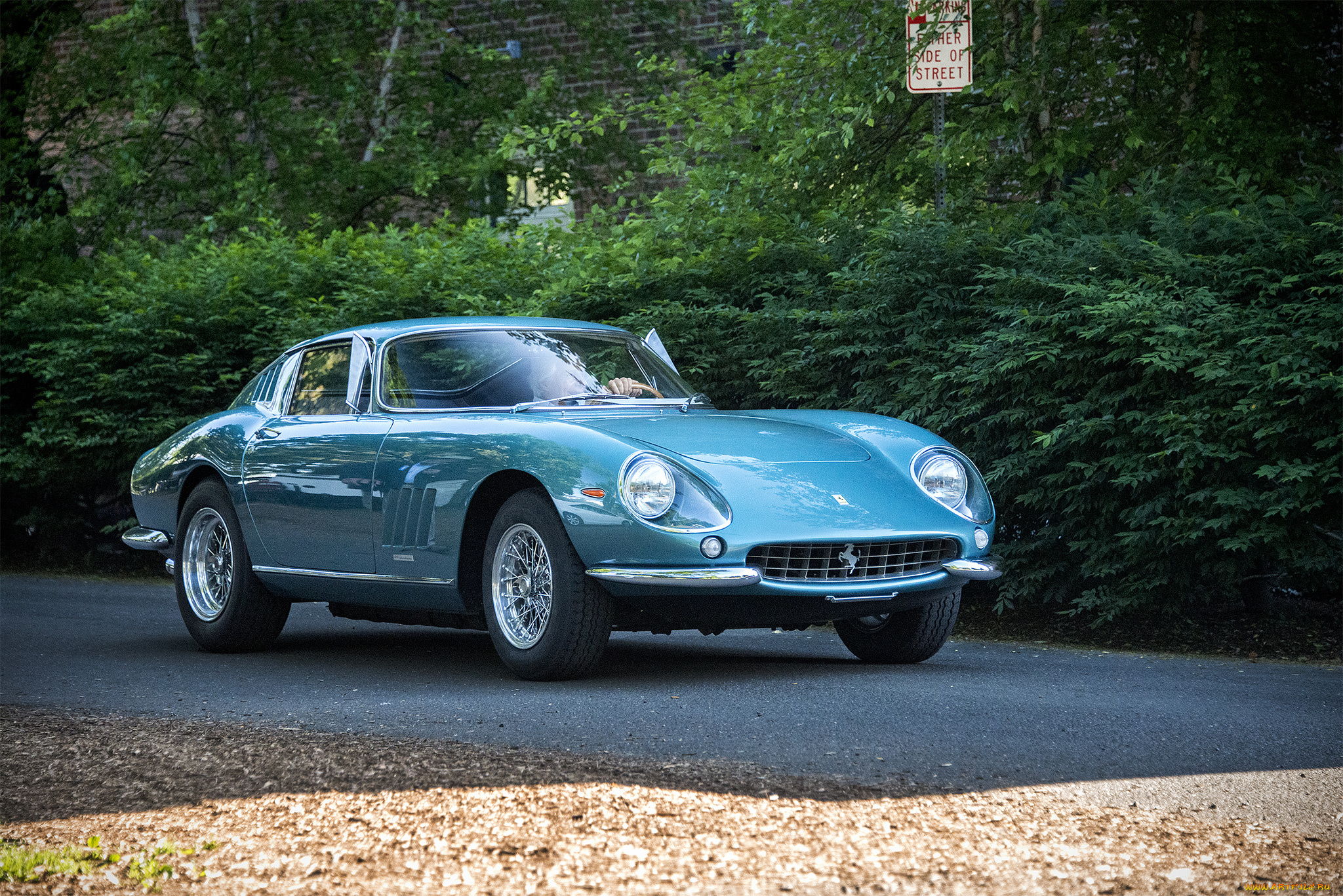 ferrari, 275, gtb, автомобили, ferrari, автопробег, выставка, автошоу