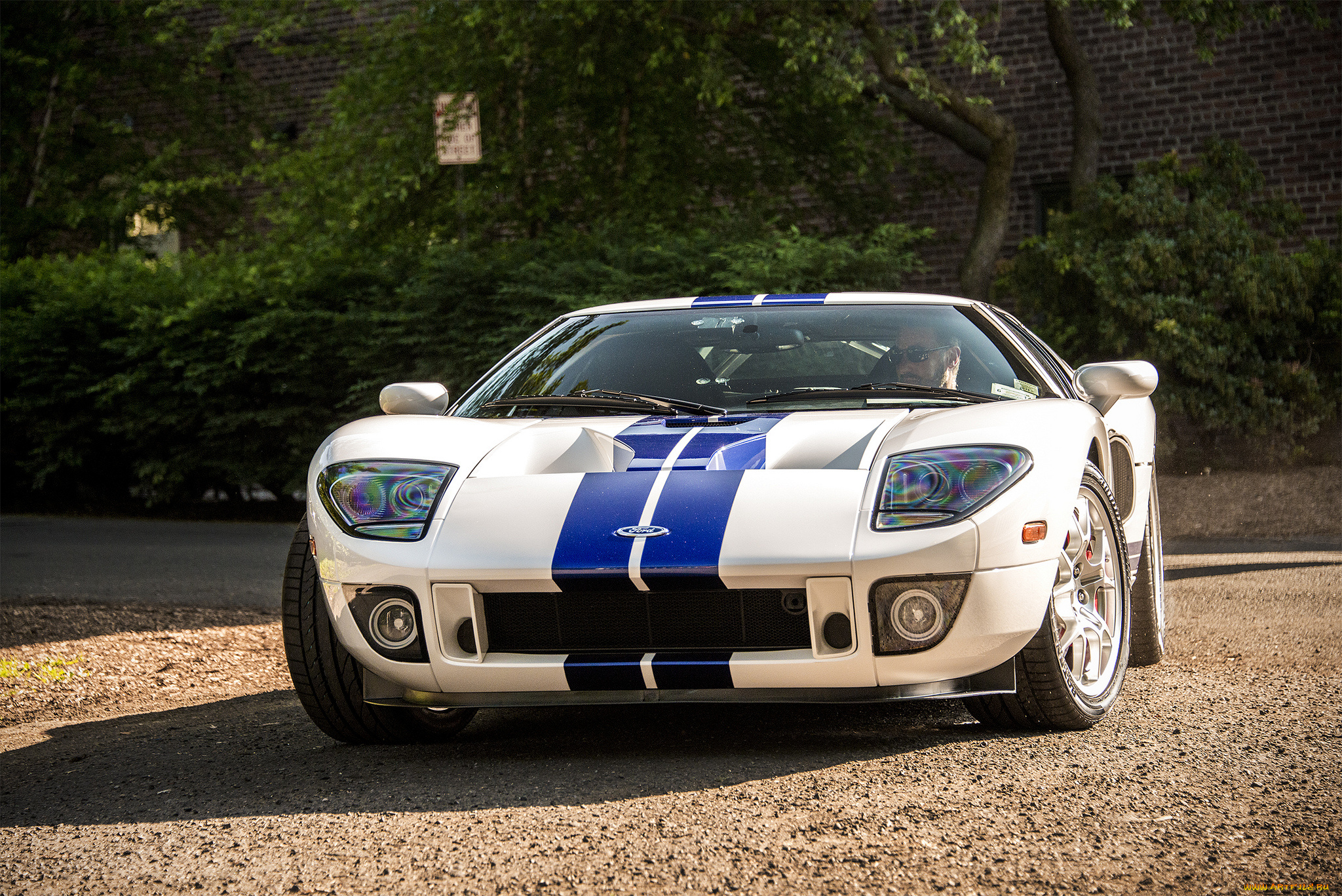 ford, gt, автомобили, ford, выставка, автопробег, автошоу