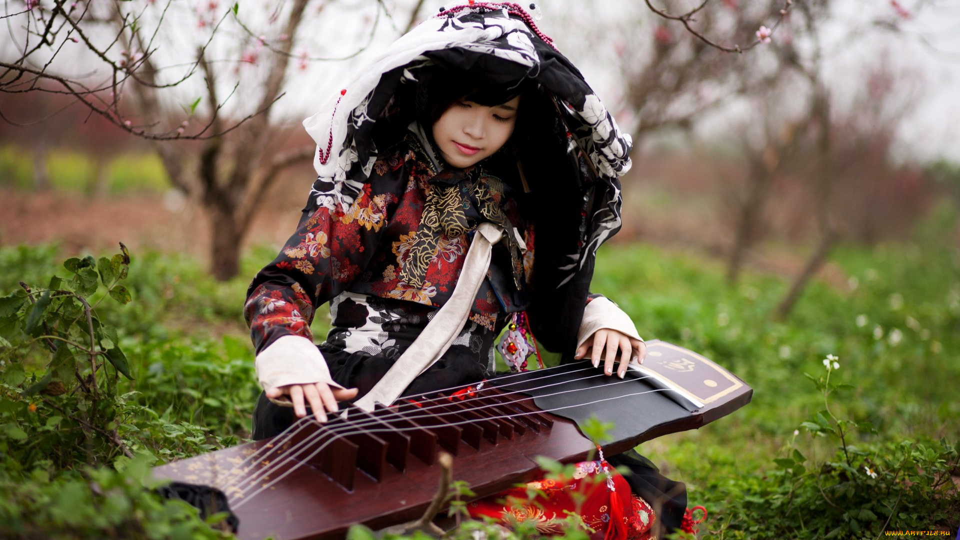 музыка, -другое, девушка, инструмент, природа, азиатка
