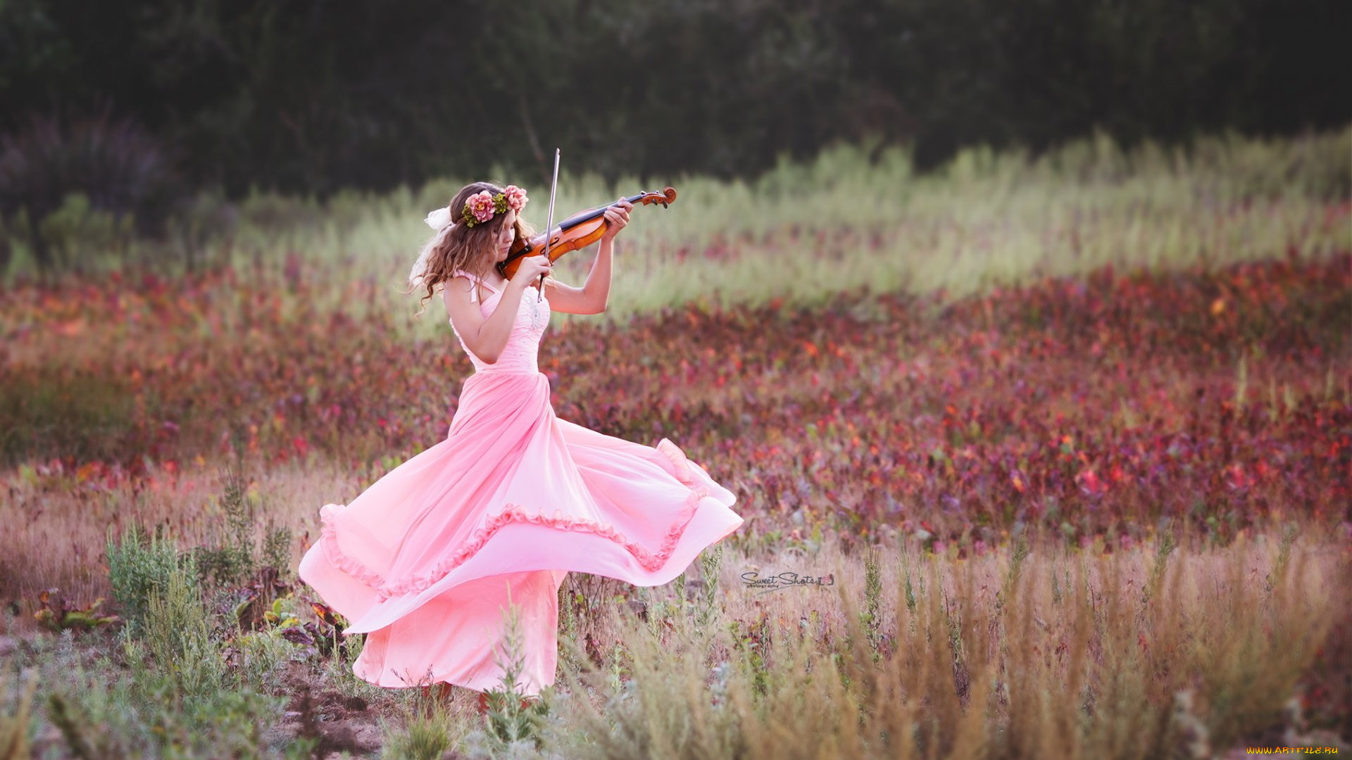 музыка, -другое, природа, венок, скрипка, девушка