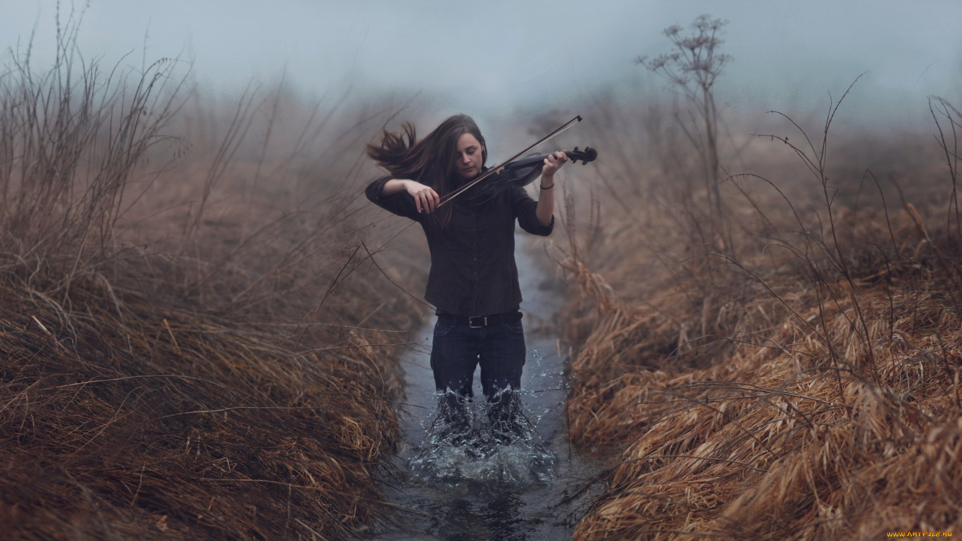 музыка, -другое, скрипка, девушка, природа, вода, растения