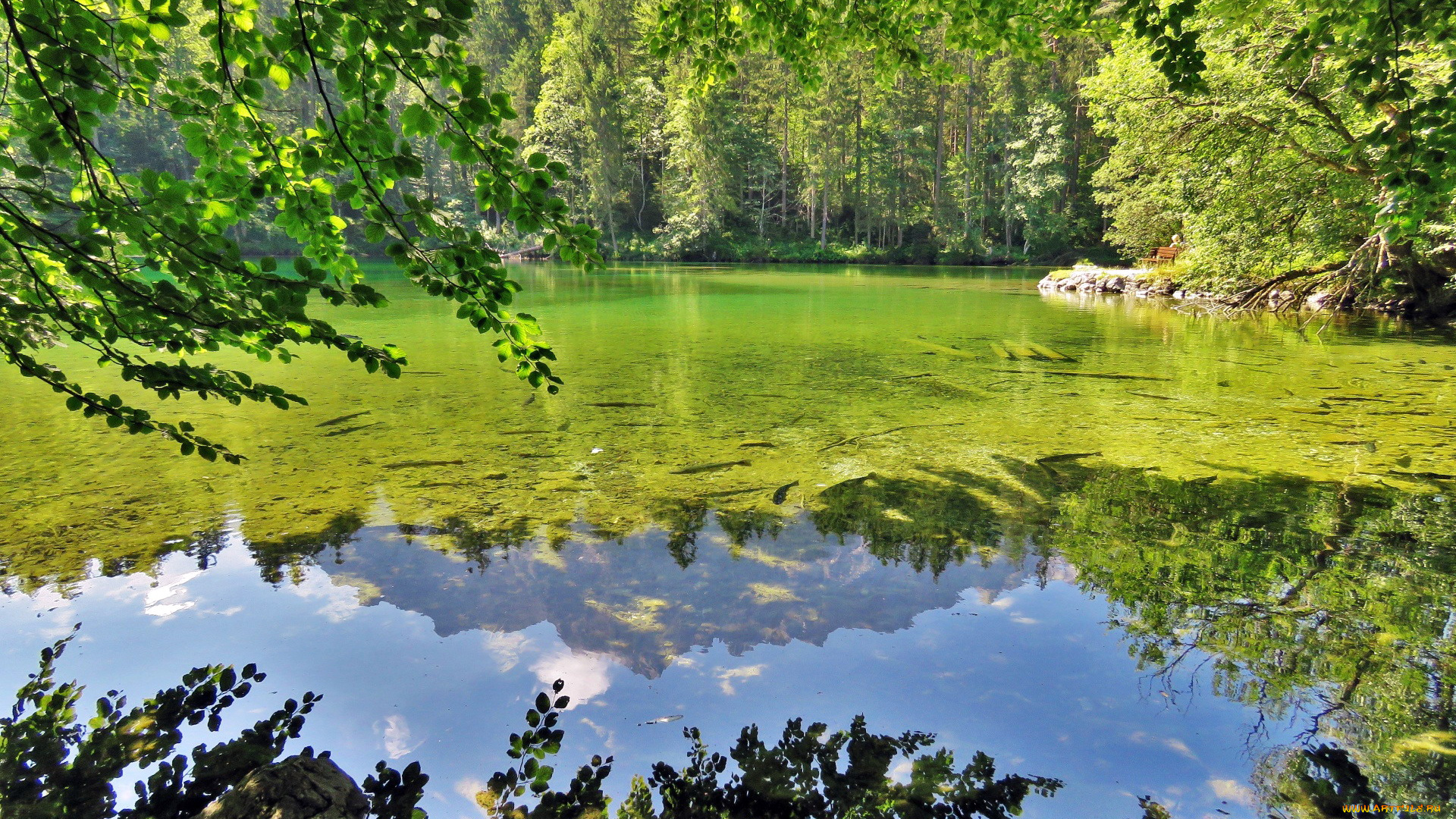 природа, реки, озера, отражение, вода