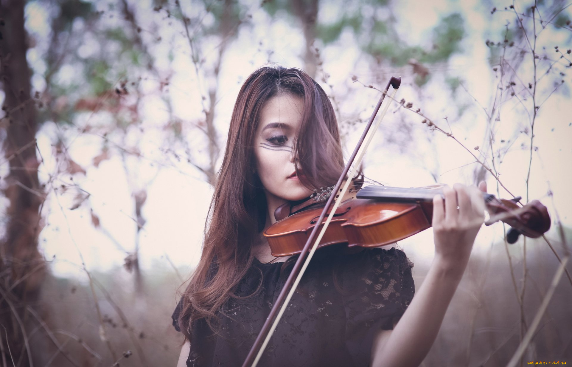 музыка, -другое, природа, девушка, скрипка